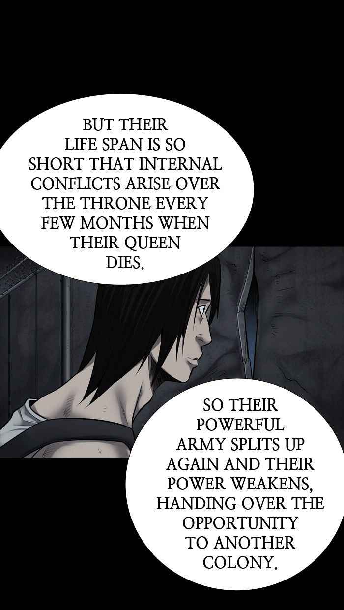 HIVE Chapter 135 - Page 44