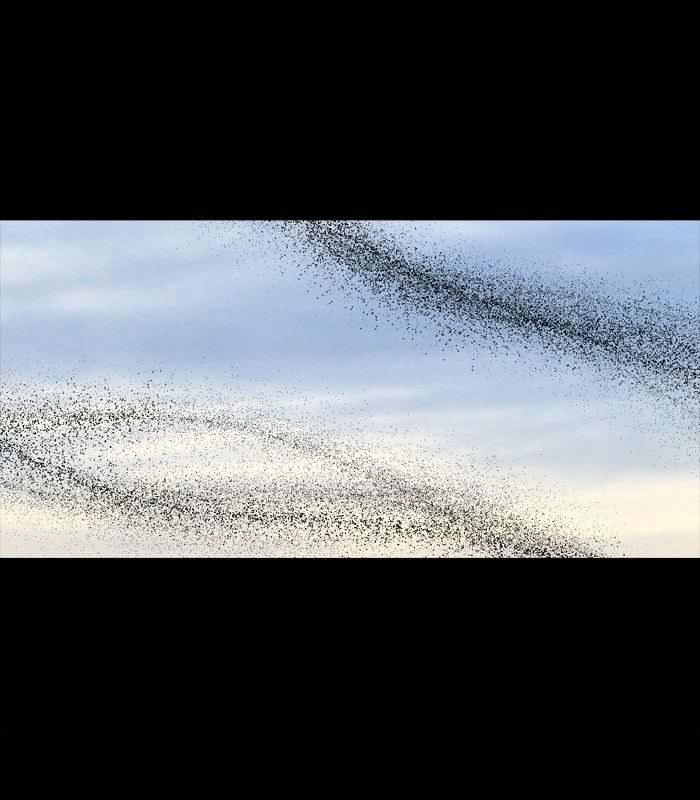 HIVE Chapter 159 - Page 60