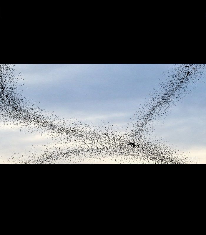 HIVE Chapter 161 - Page 52