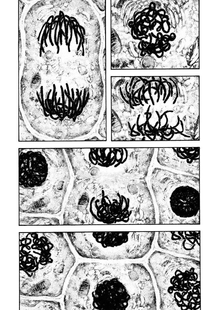 Kokou No Hito Chapter 161 - Page 6