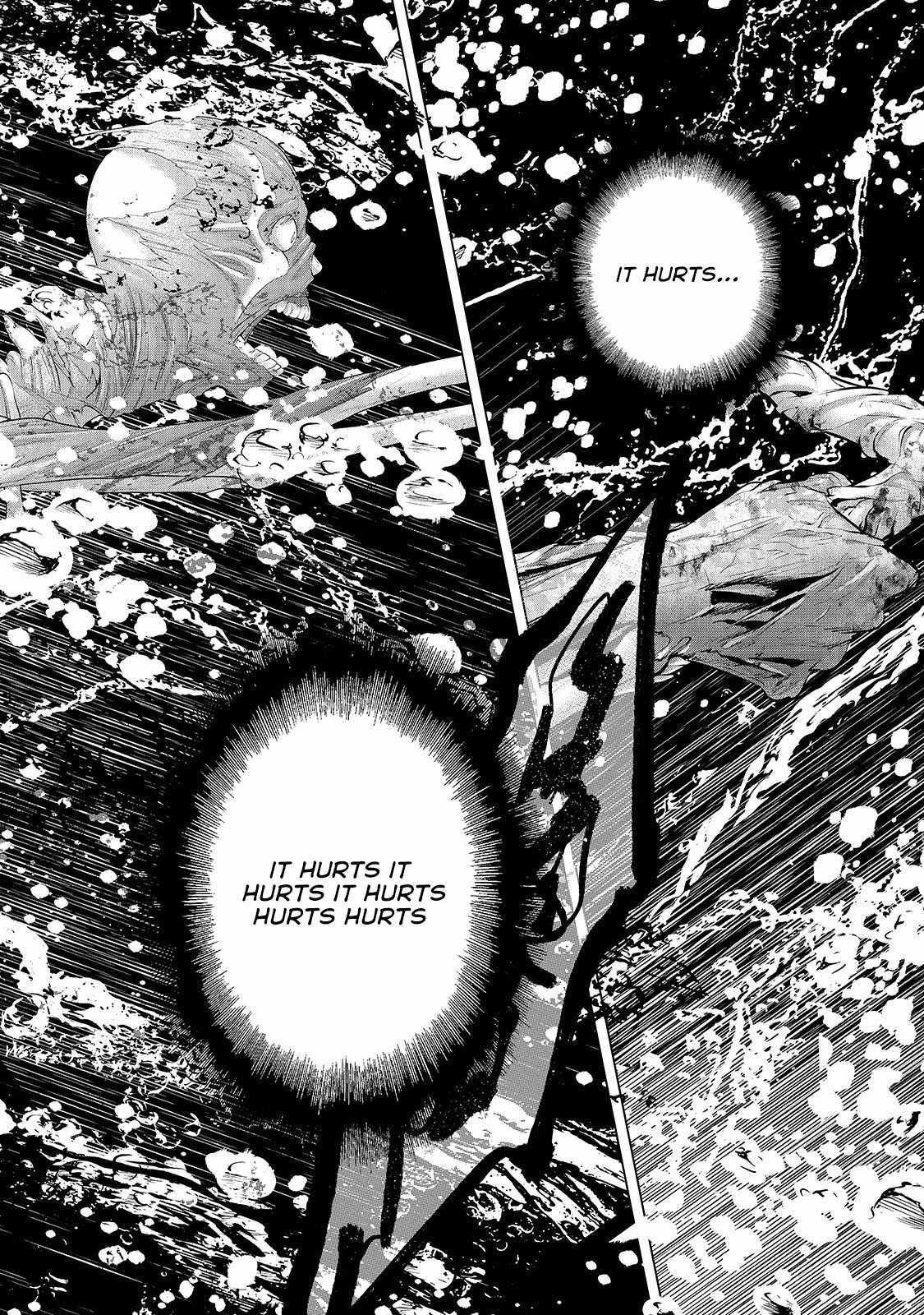 Saihate No Paladin Chapter 63.1 - Page 10