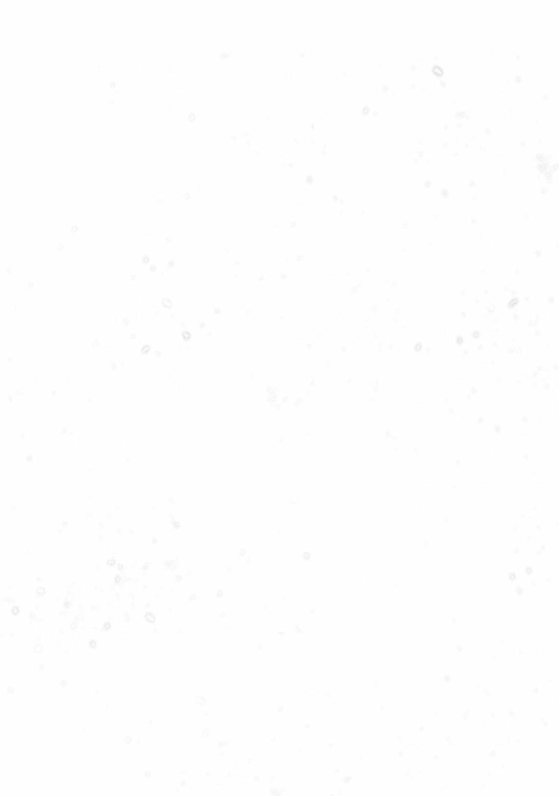 Saihate No Paladin Chapter 63.2 - Page 9