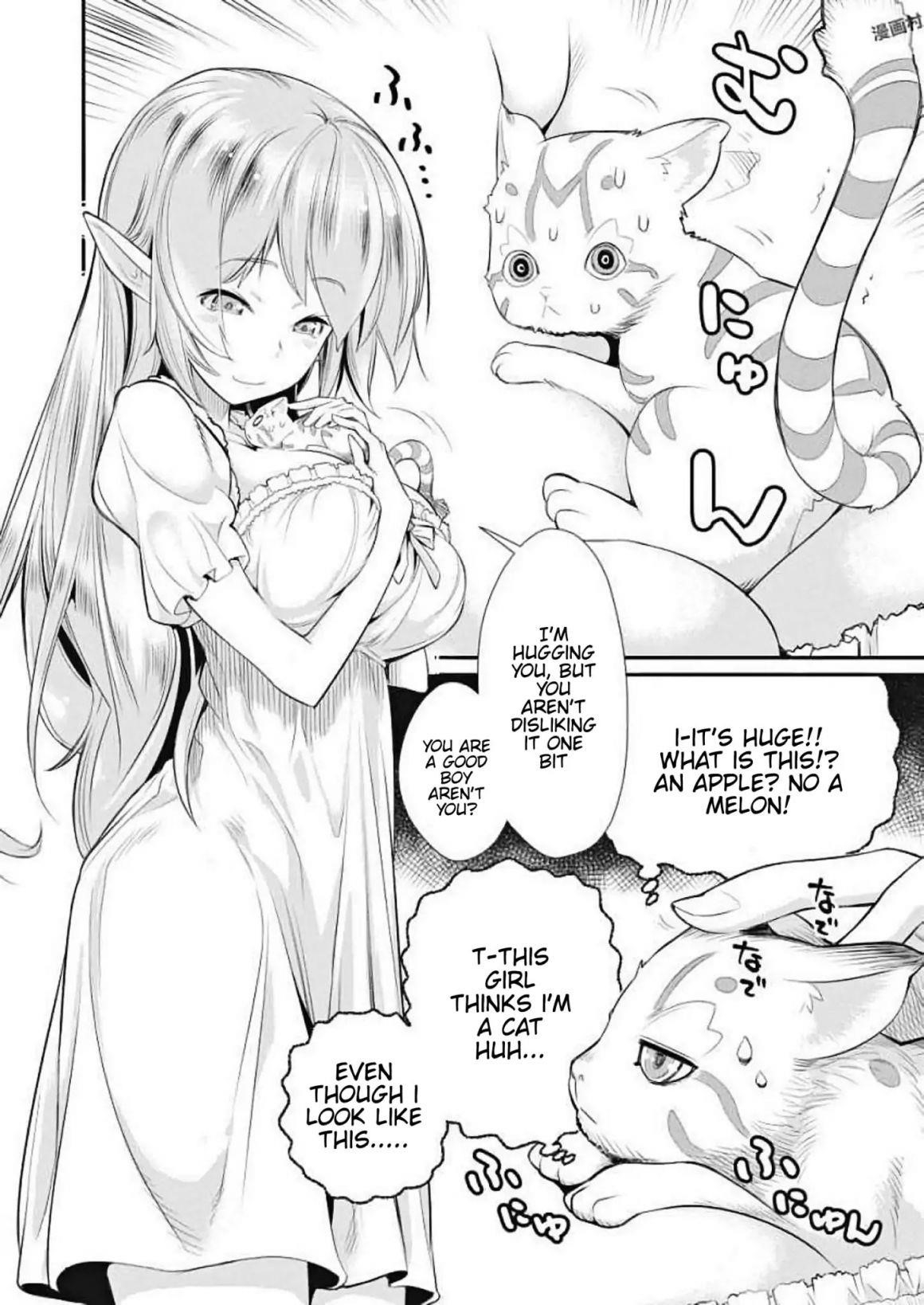 I Am Behemoth Of The S Rank Monster But I Am Mistaken As A Cat And I Live As A Pet Of Elf Girl Chapter 1 - Page 8