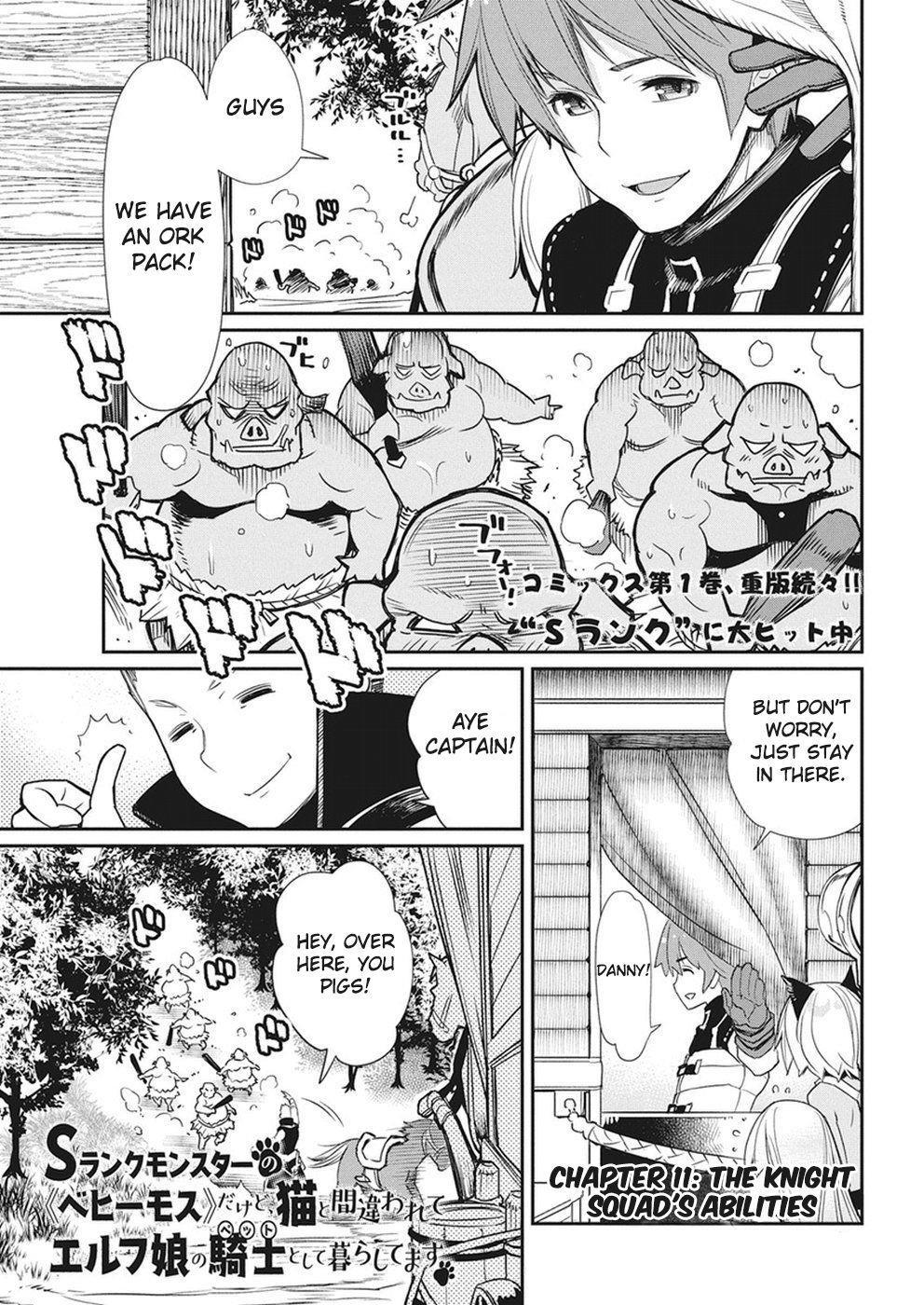 I Am Behemoth Of The S Rank Monster But I Am Mistaken As A Cat And I Live As A Pet Of Elf Girl Chapter 11 - Page 2