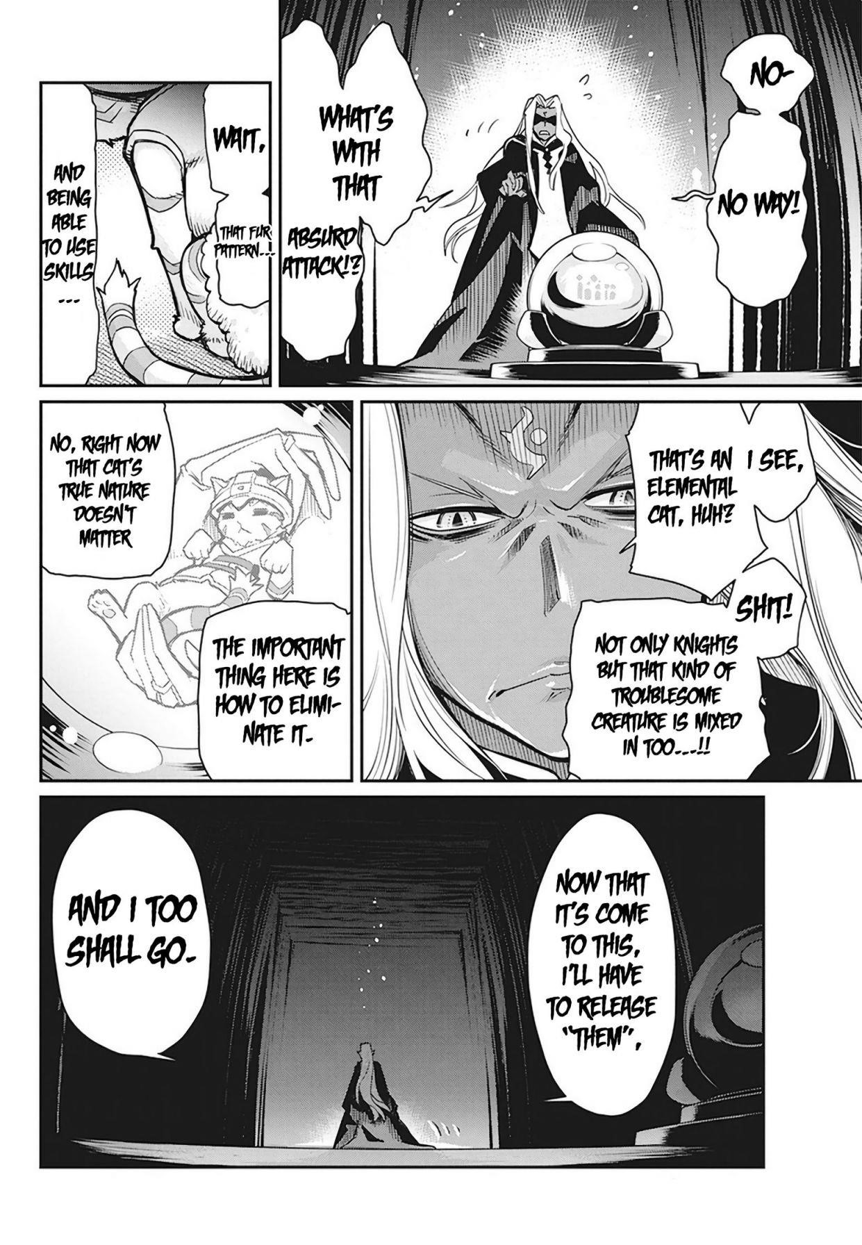 I Am Behemoth Of The S Rank Monster But I Am Mistaken As A Cat And I Live As A Pet Of Elf Girl Chapter 13 - Page 10
