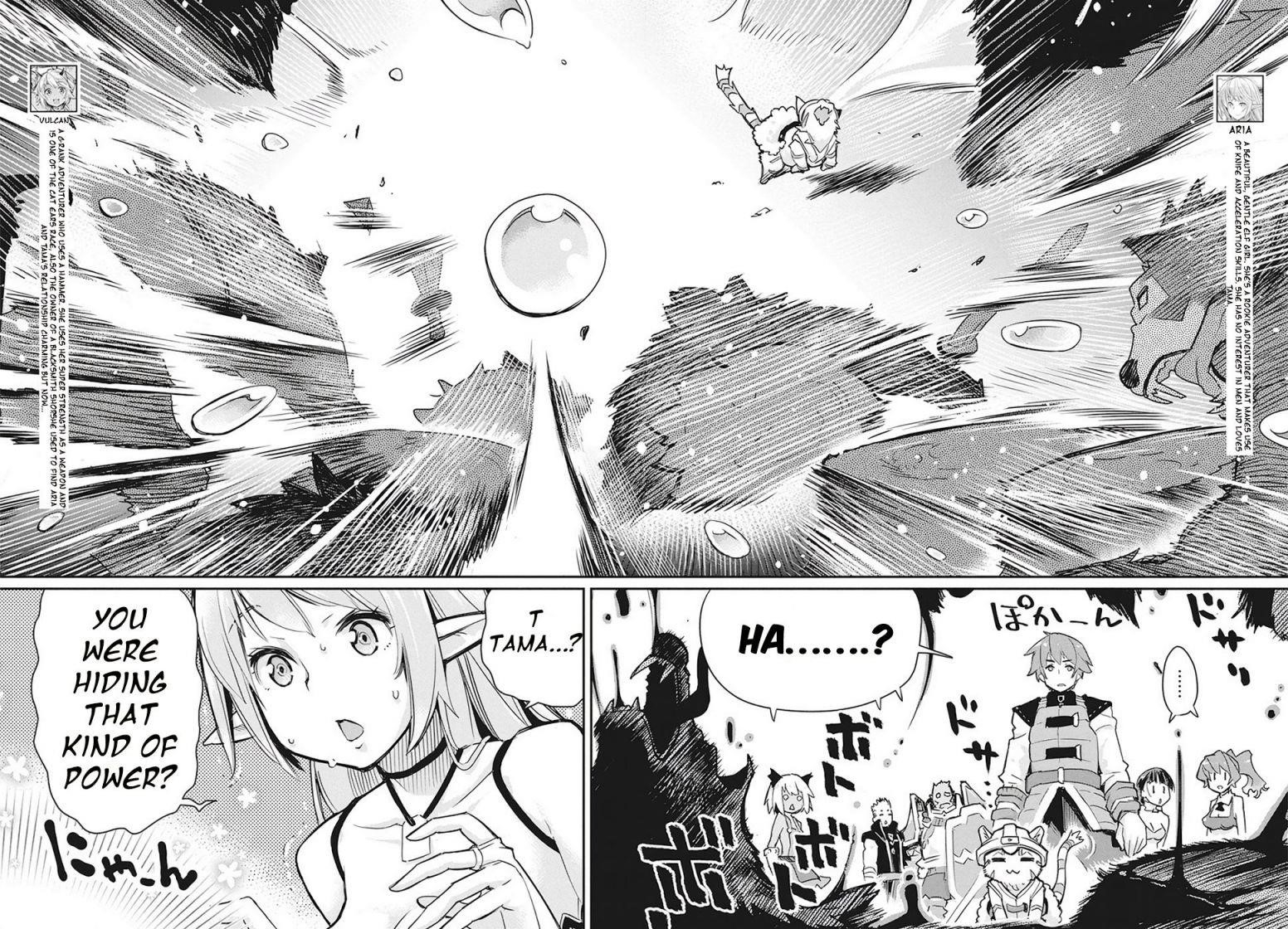 I Am Behemoth Of The S Rank Monster But I Am Mistaken As A Cat And I Live As A Pet Of Elf Girl Chapter 13 - Page 9