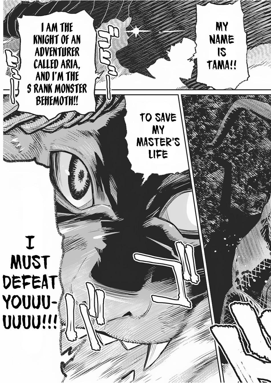 I Am Behemoth Of The S Rank Monster But I Am Mistaken As A Cat And I Live As A Pet Of Elf Girl Chapter 15 - Page 13