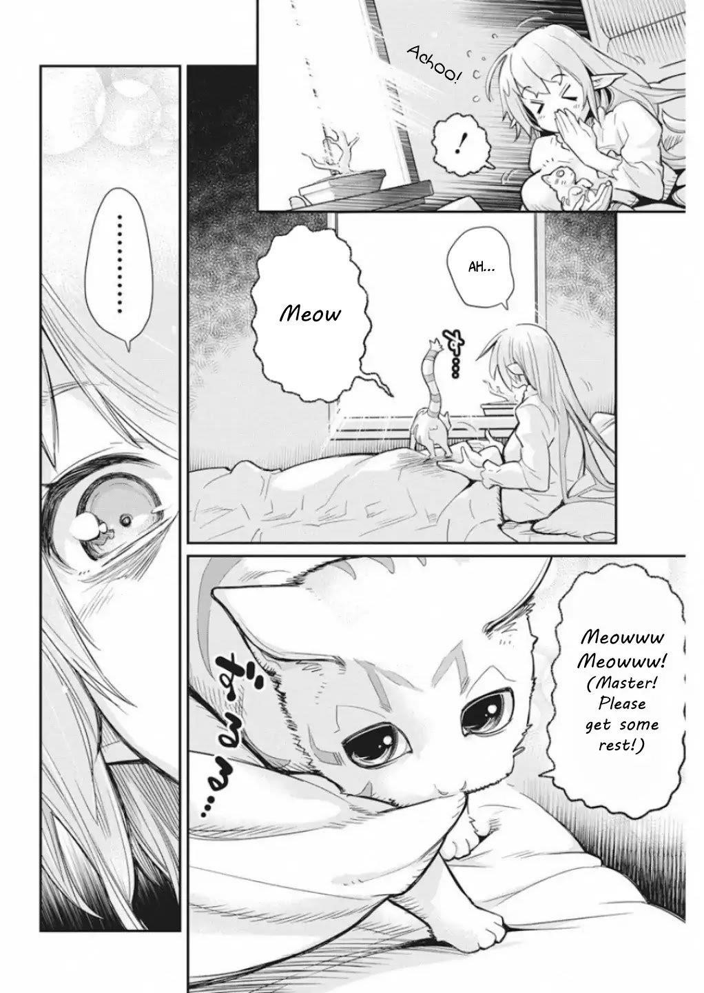I Am Behemoth Of The S Rank Monster But I Am Mistaken As A Cat And I Live As A Pet Of Elf Girl Chapter 16 - Page 12