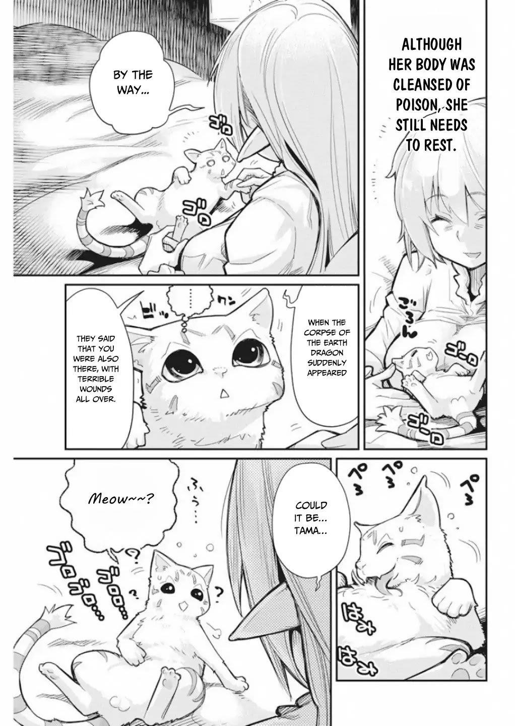 I Am Behemoth Of The S Rank Monster But I Am Mistaken As A Cat And I Live As A Pet Of Elf Girl Chapter 16 - Page 9