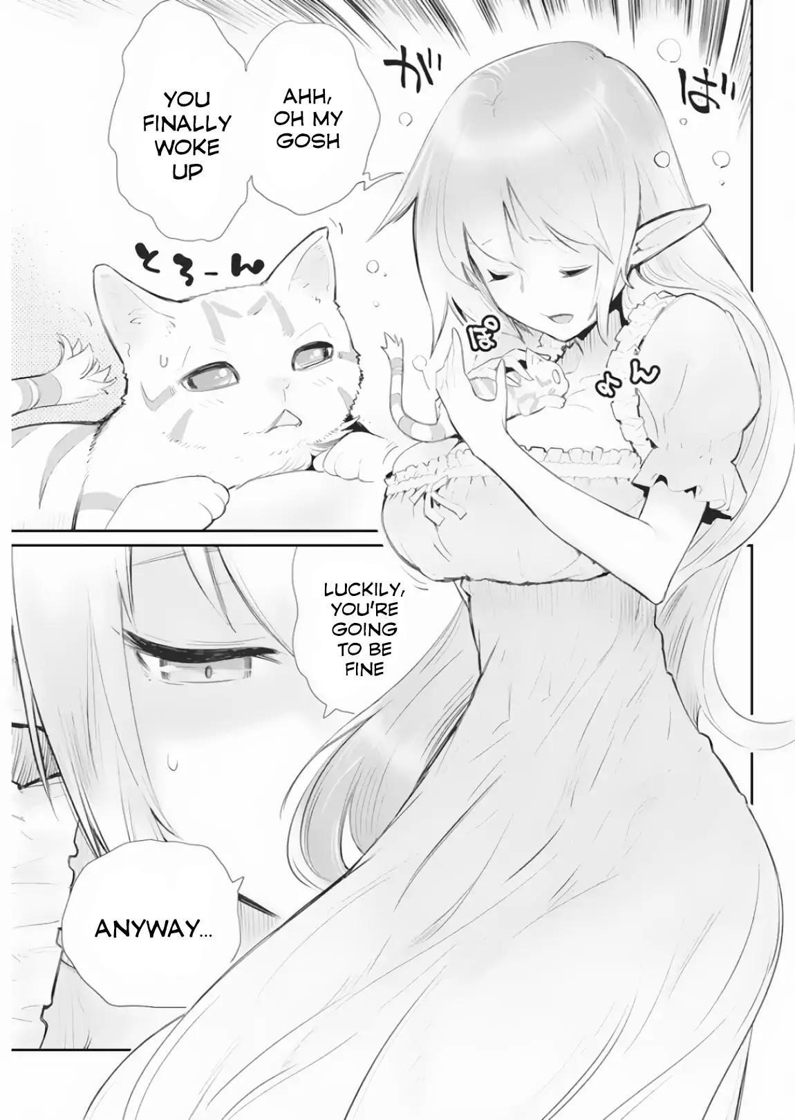 I Am Behemoth Of The S Rank Monster But I Am Mistaken As A Cat And I Live As A Pet Of Elf Girl Chapter 17 - Page 20