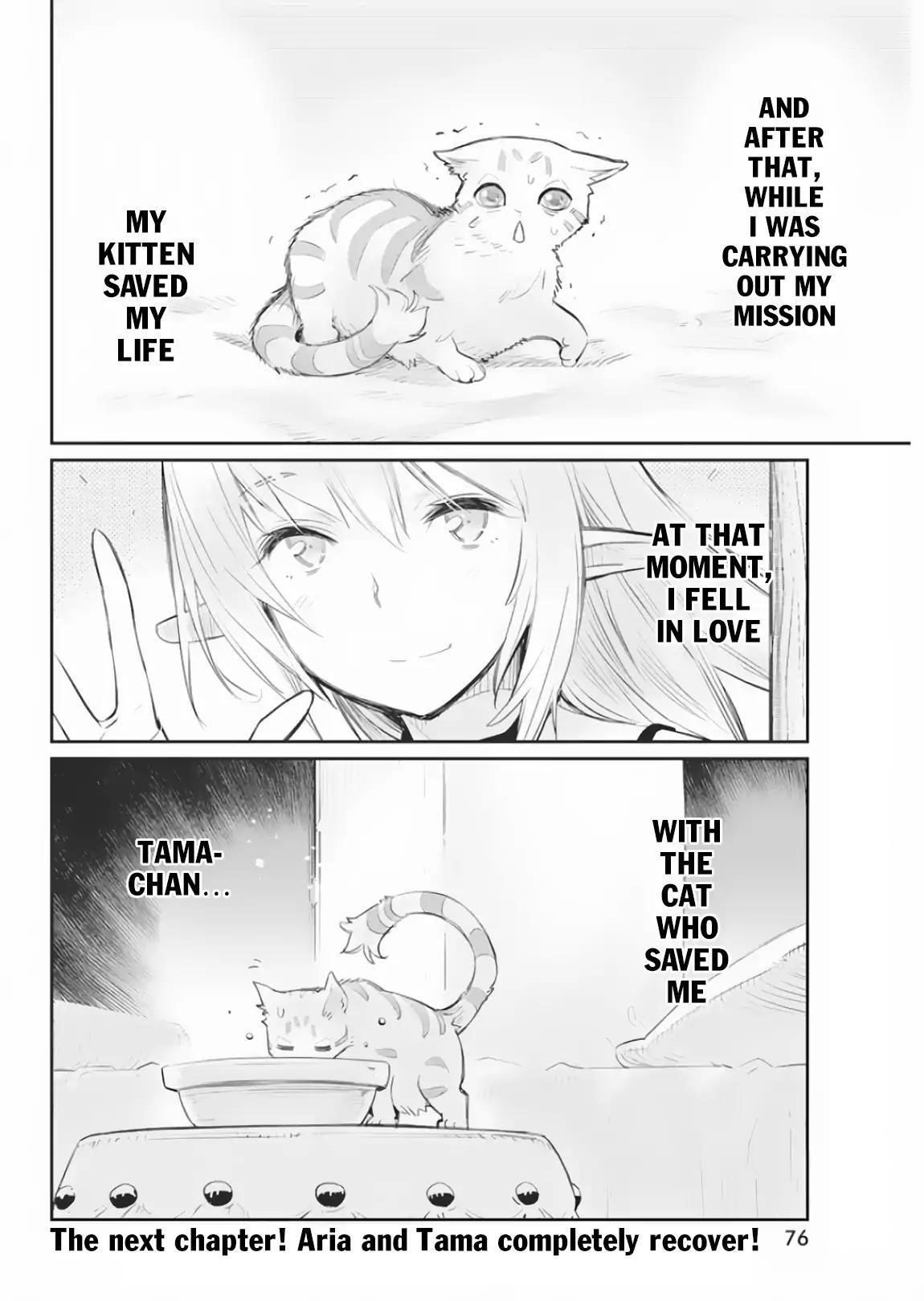 I Am Behemoth Of The S Rank Monster But I Am Mistaken As A Cat And I Live As A Pet Of Elf Girl Chapter 17 - Page 23