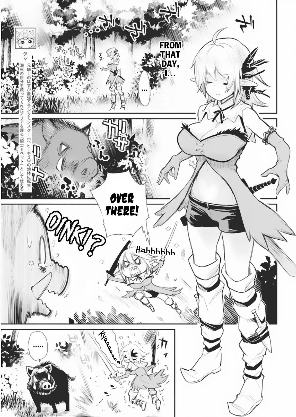 I Am Behemoth Of The S Rank Monster But I Am Mistaken As A Cat And I Live As A Pet Of Elf Girl Chapter 17 - Page 4