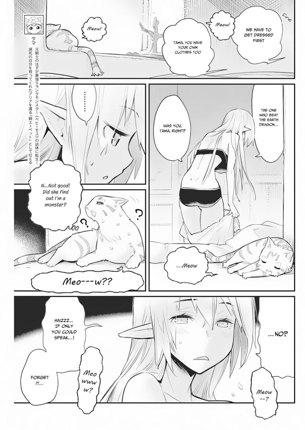 I Am Behemoth Of The S Rank Monster But I Am Mistaken As A Cat And I Live As A Pet Of Elf Girl Chapter 18 - Page 3