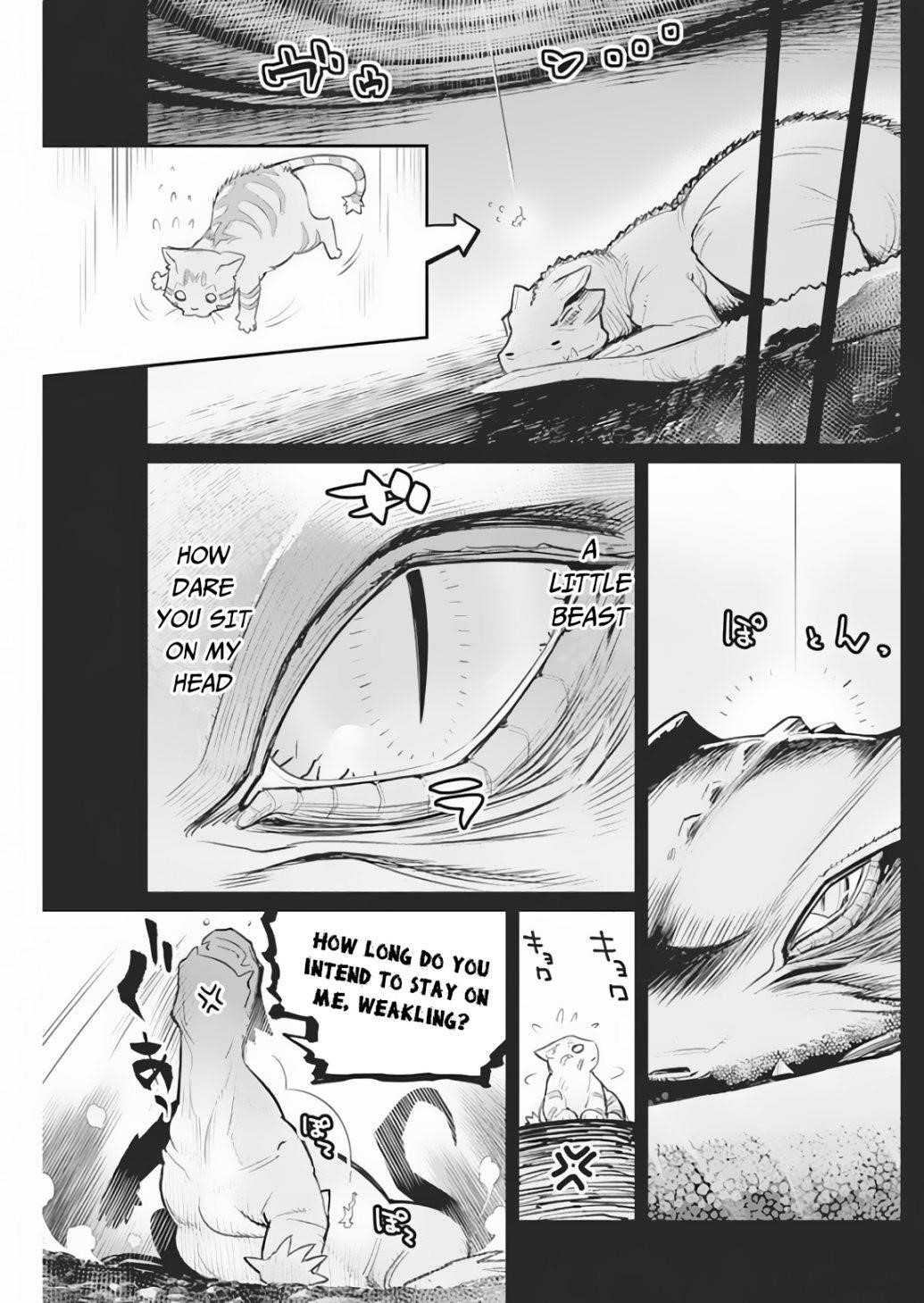 I Am Behemoth Of The S Rank Monster But I Am Mistaken As A Cat And I Live As A Pet Of Elf Girl Chapter 18 - Page 9