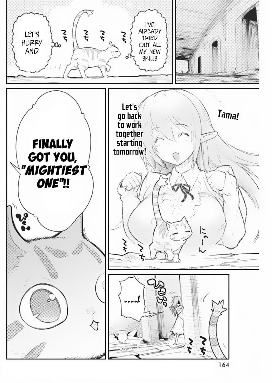 I Am Behemoth Of The S Rank Monster But I Am Mistaken As A Cat And I Live As A Pet Of Elf Girl Chapter 19 - Page 16