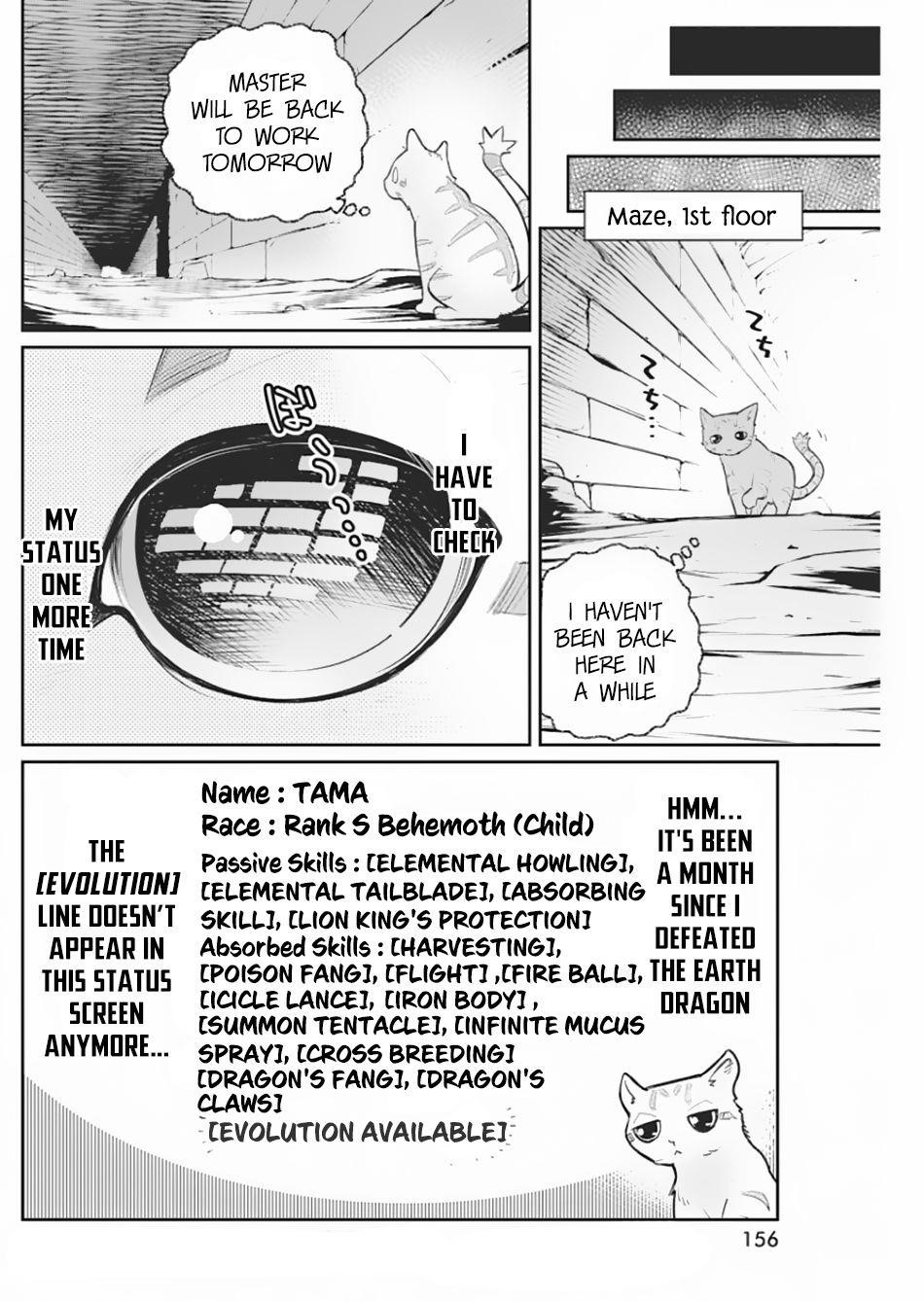 I Am Behemoth Of The S Rank Monster But I Am Mistaken As A Cat And I Live As A Pet Of Elf Girl Chapter 19 - Page 8