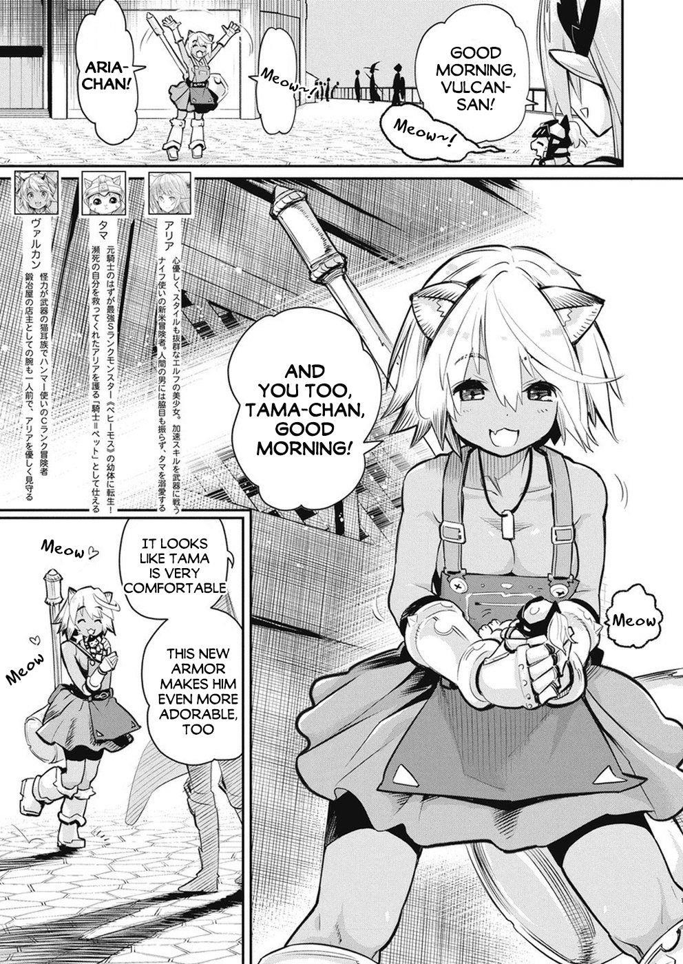 I Am Behemoth Of The S Rank Monster But I Am Mistaken As A Cat And I Live As A Pet Of Elf Girl Chapter 20 - Page 2