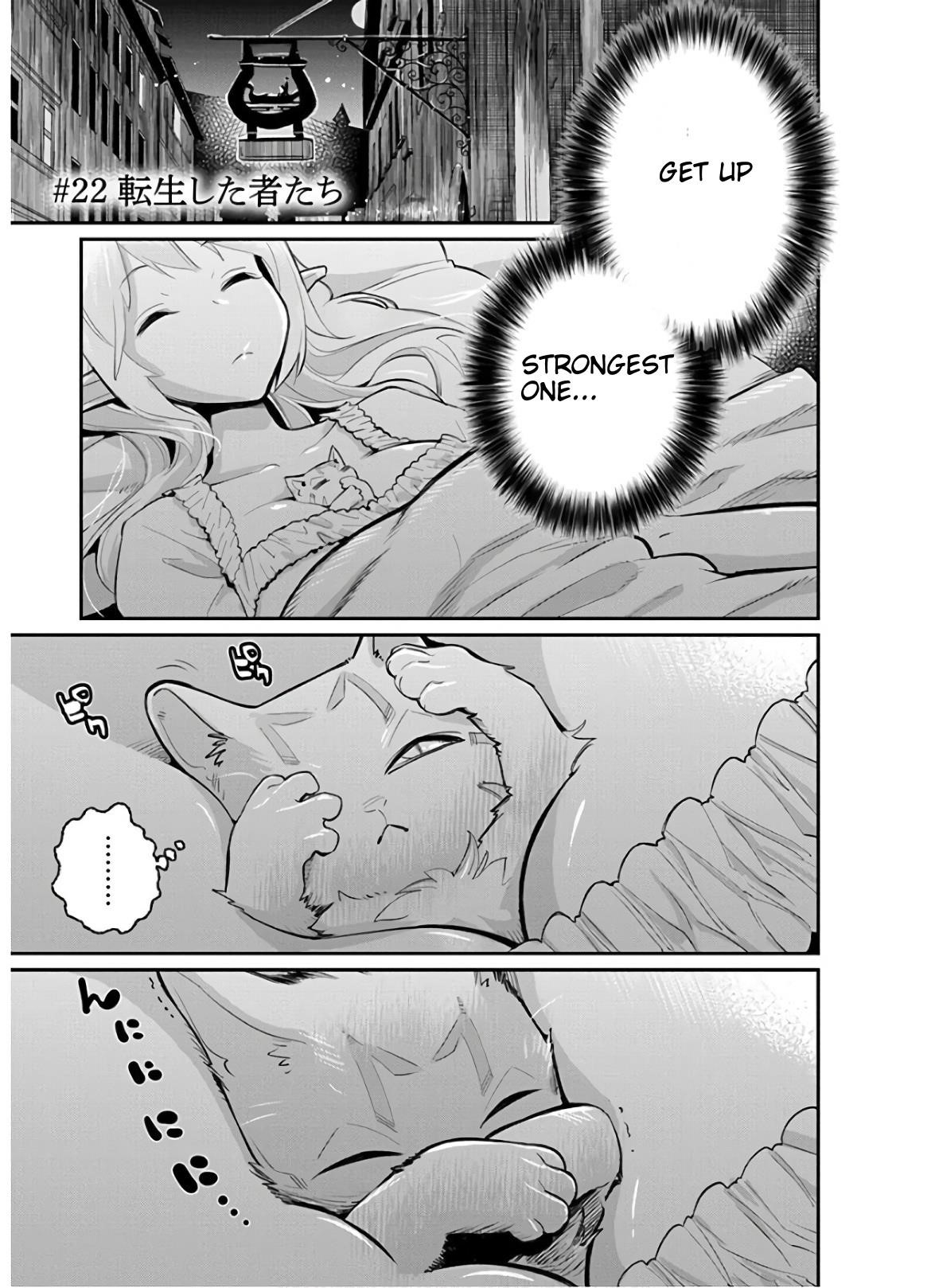 I Am Behemoth Of The S Rank Monster But I Am Mistaken As A Cat And I Live As A Pet Of Elf Girl Chapter 22 - Page 1
