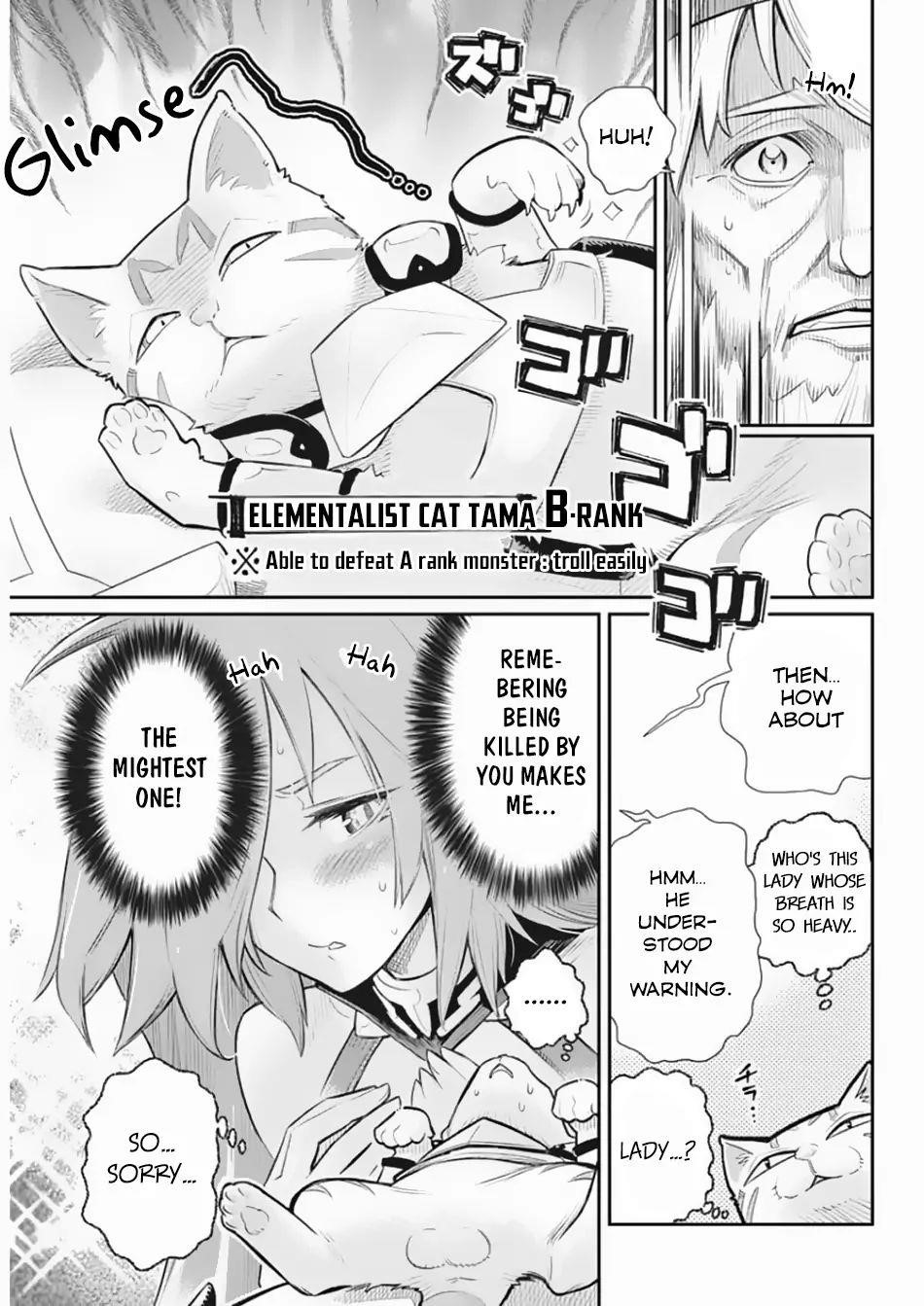 I Am Behemoth Of The S Rank Monster But I Am Mistaken As A Cat And I Live As A Pet Of Elf Girl Chapter 27 - Page 13