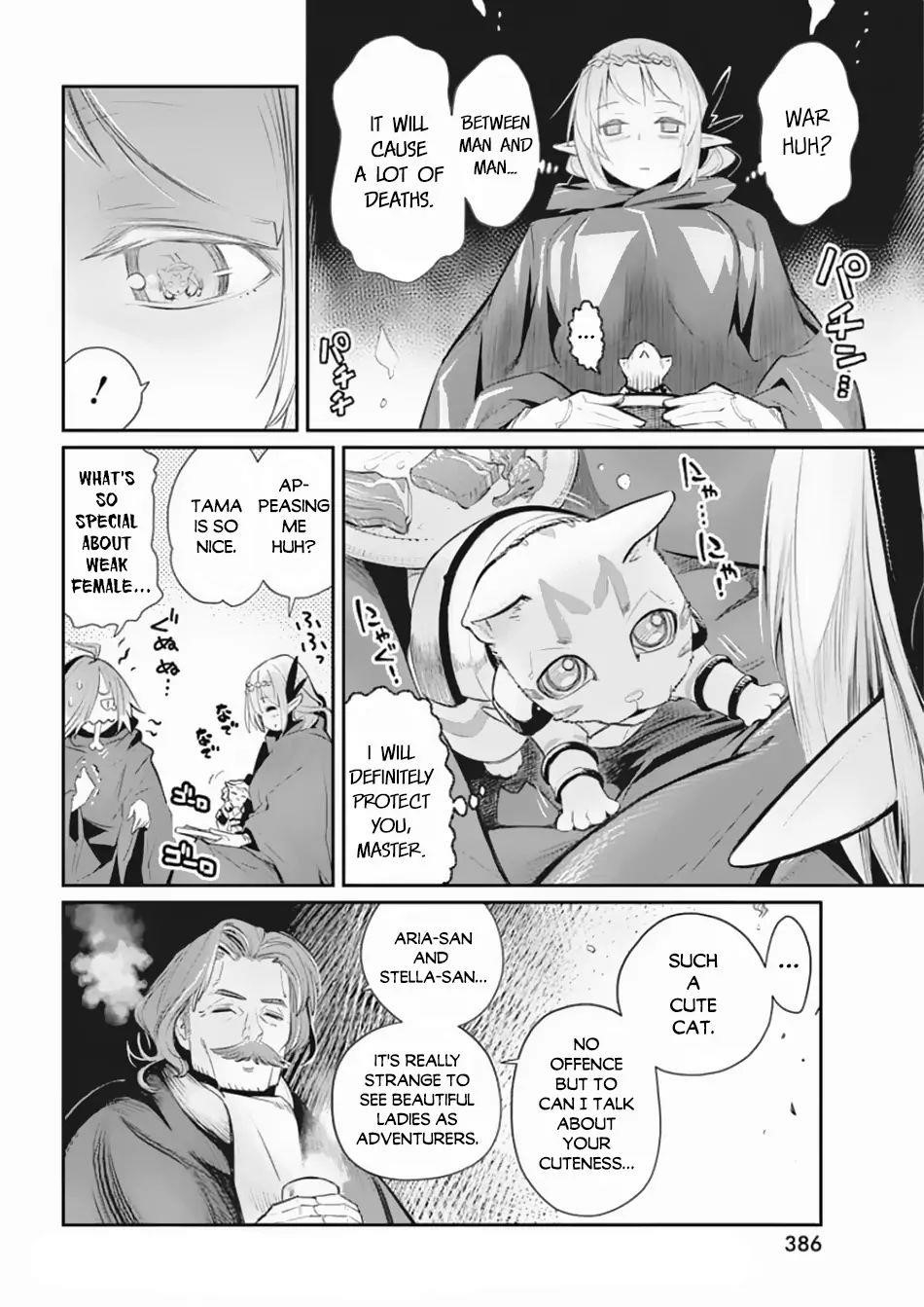 I Am Behemoth Of The S Rank Monster But I Am Mistaken As A Cat And I Live As A Pet Of Elf Girl Chapter 27 - Page 17