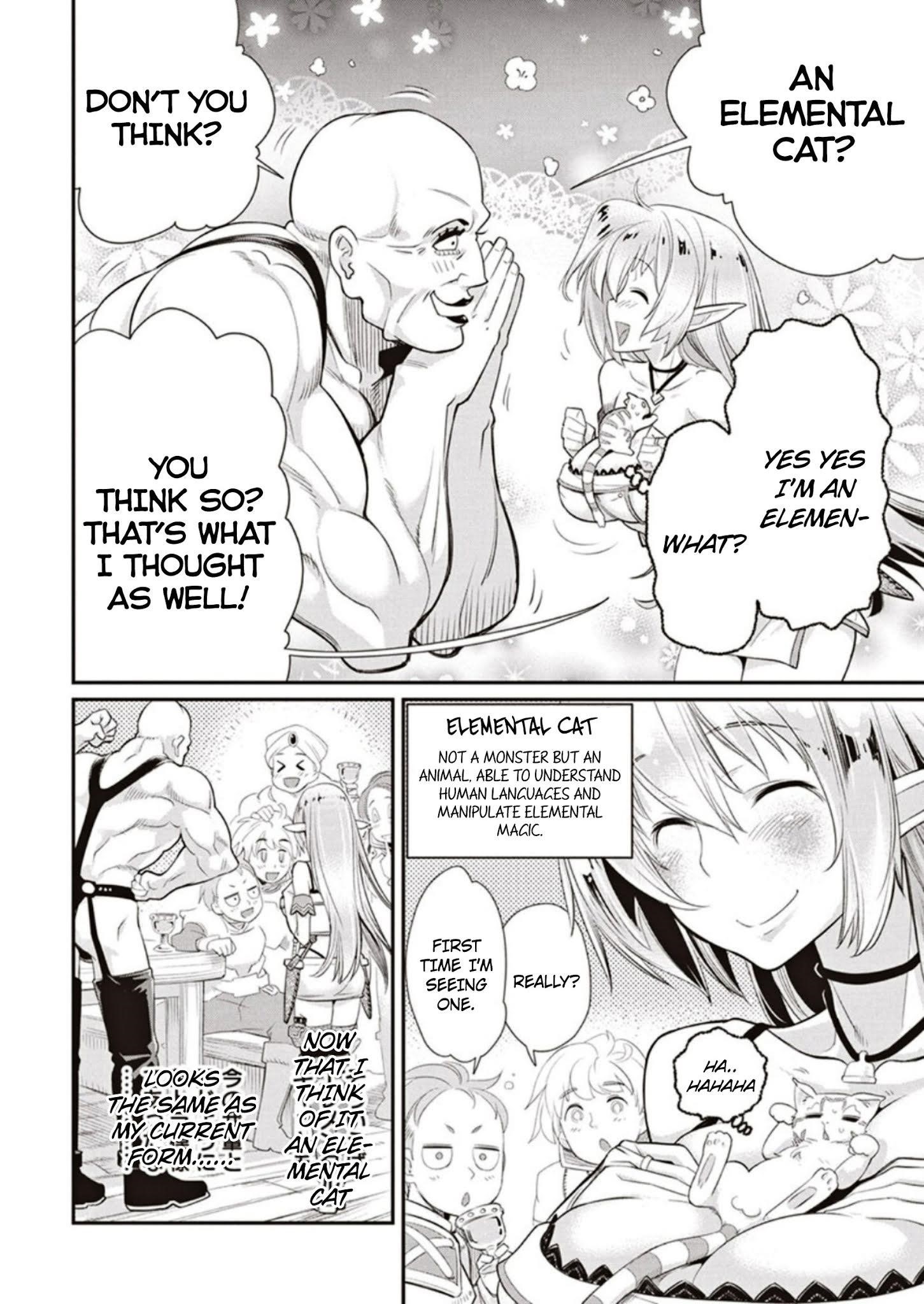 I Am Behemoth Of The S Rank Monster But I Am Mistaken As A Cat And I Live As A Pet Of Elf Girl Chapter 3 - Page 10