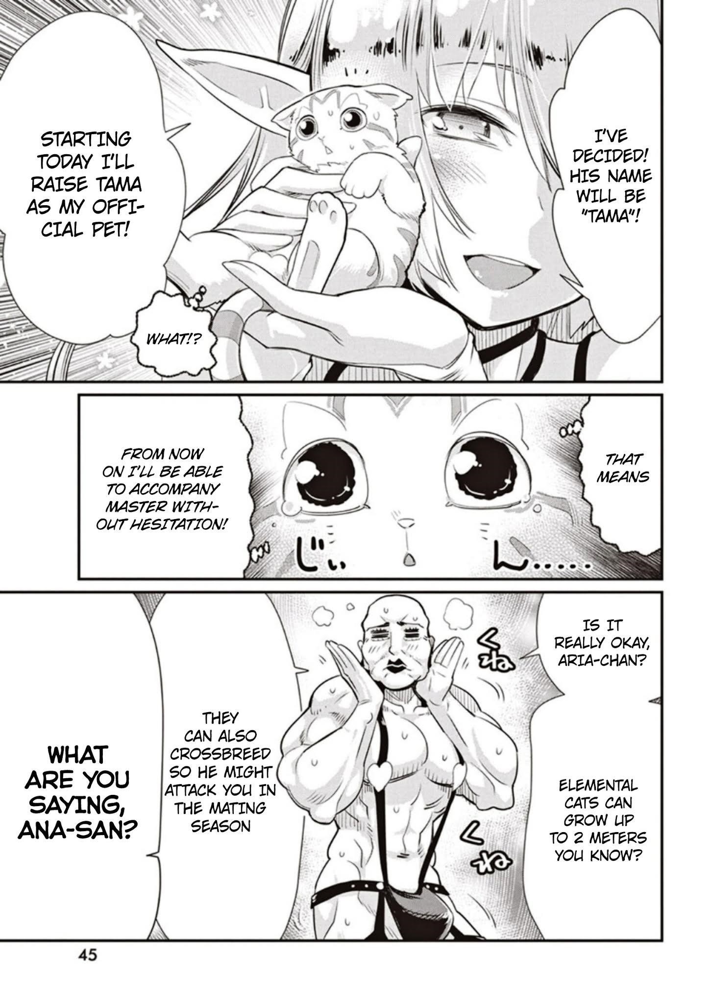 I Am Behemoth Of The S Rank Monster But I Am Mistaken As A Cat And I Live As A Pet Of Elf Girl Chapter 3 - Page 11