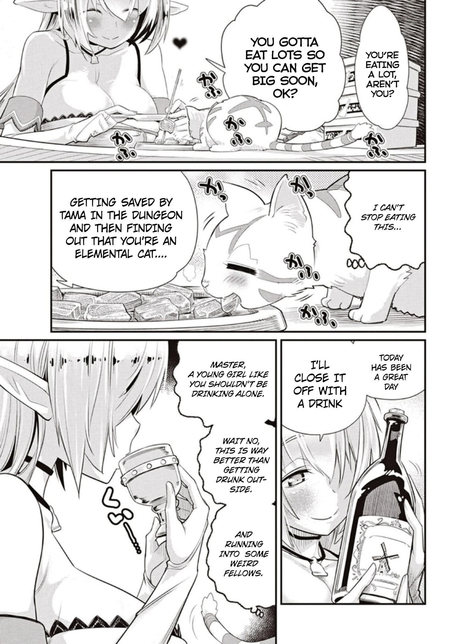 I Am Behemoth Of The S Rank Monster But I Am Mistaken As A Cat And I Live As A Pet Of Elf Girl Chapter 3 - Page 21
