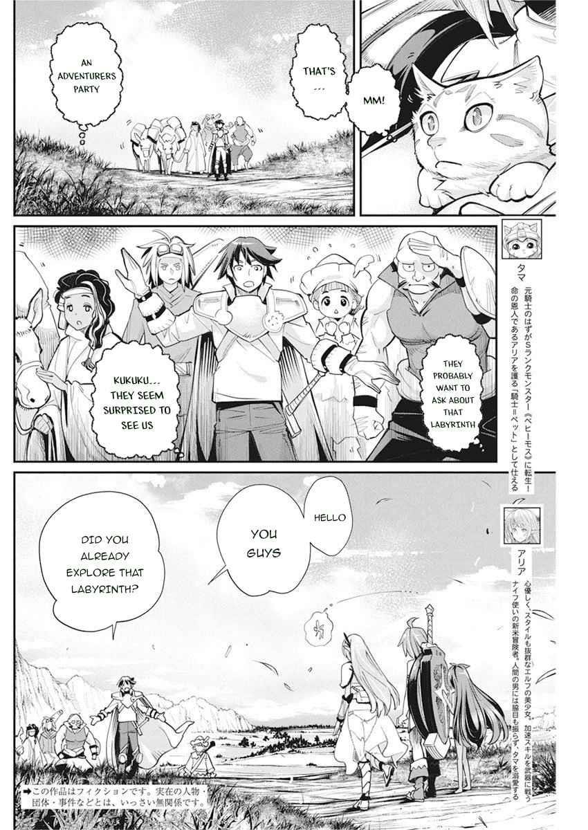 I Am Behemoth Of The S Rank Monster But I Am Mistaken As A Cat And I Live As A Pet Of Elf Girl Chapter 31 - Page 2