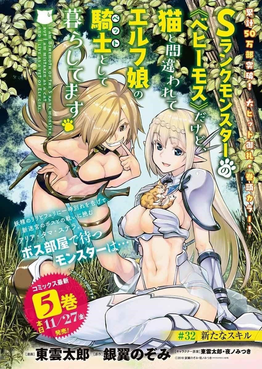 I Am Behemoth Of The S Rank Monster But I Am Mistaken As A Cat And I Live As A Pet Of Elf Girl Chapter 32 - Page 1