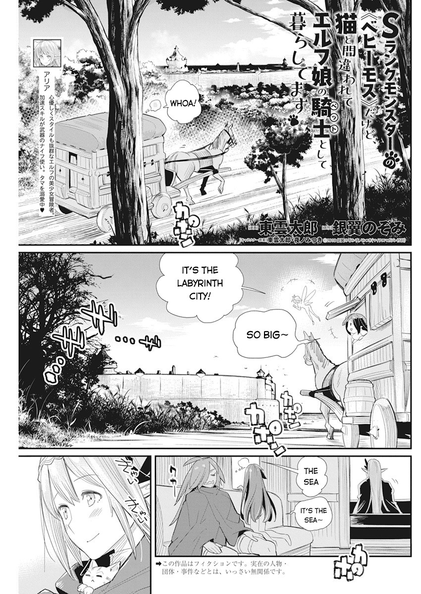 I Am Behemoth Of The S Rank Monster But I Am Mistaken As A Cat And I Live As A Pet Of Elf Girl Chapter 37 - Page 1