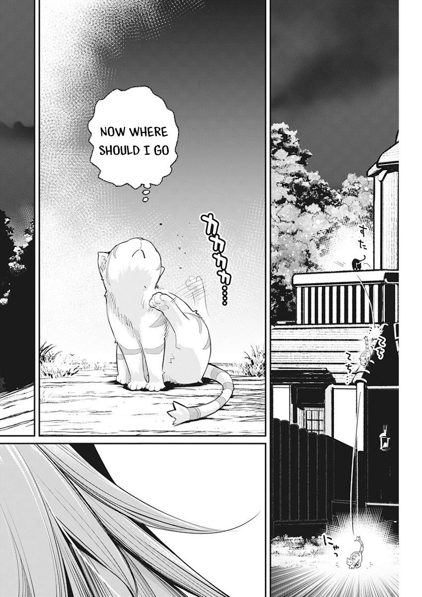 I Am Behemoth Of The S Rank Monster But I Am Mistaken As A Cat And I Live As A Pet Of Elf Girl Chapter 38 - Page 20