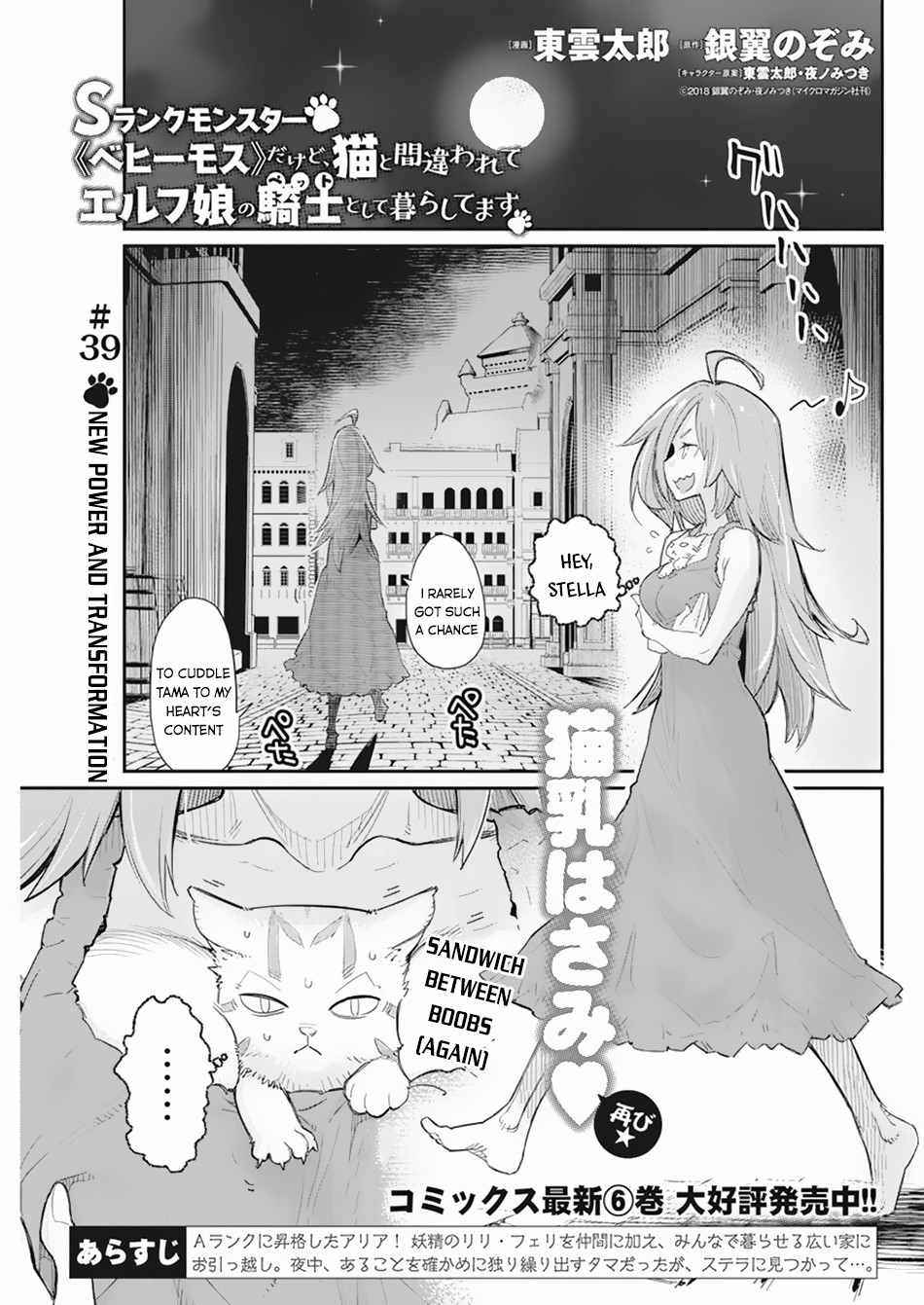 I Am Behemoth Of The S Rank Monster But I Am Mistaken As A Cat And I Live As A Pet Of Elf Girl Chapter 39 - Page 1