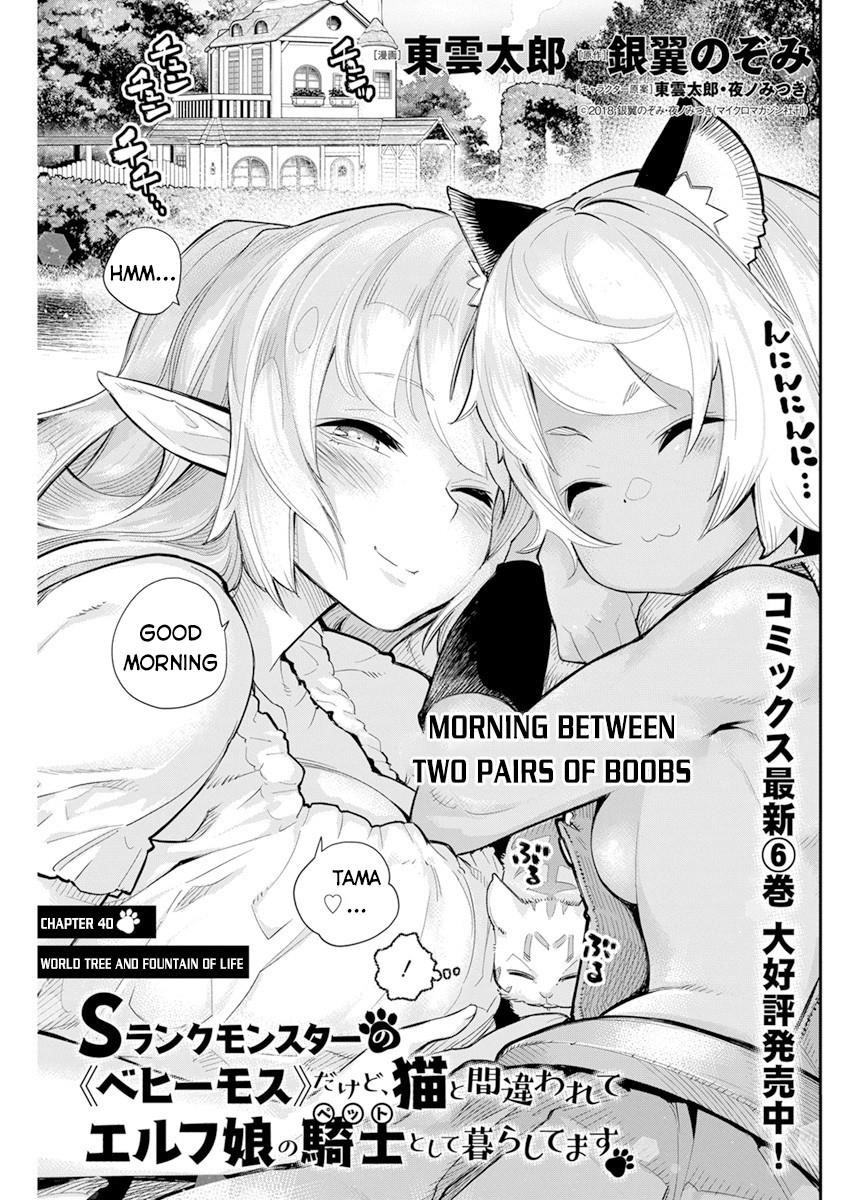 I Am Behemoth Of The S Rank Monster But I Am Mistaken As A Cat And I Live As A Pet Of Elf Girl Chapter 40 - Page 1