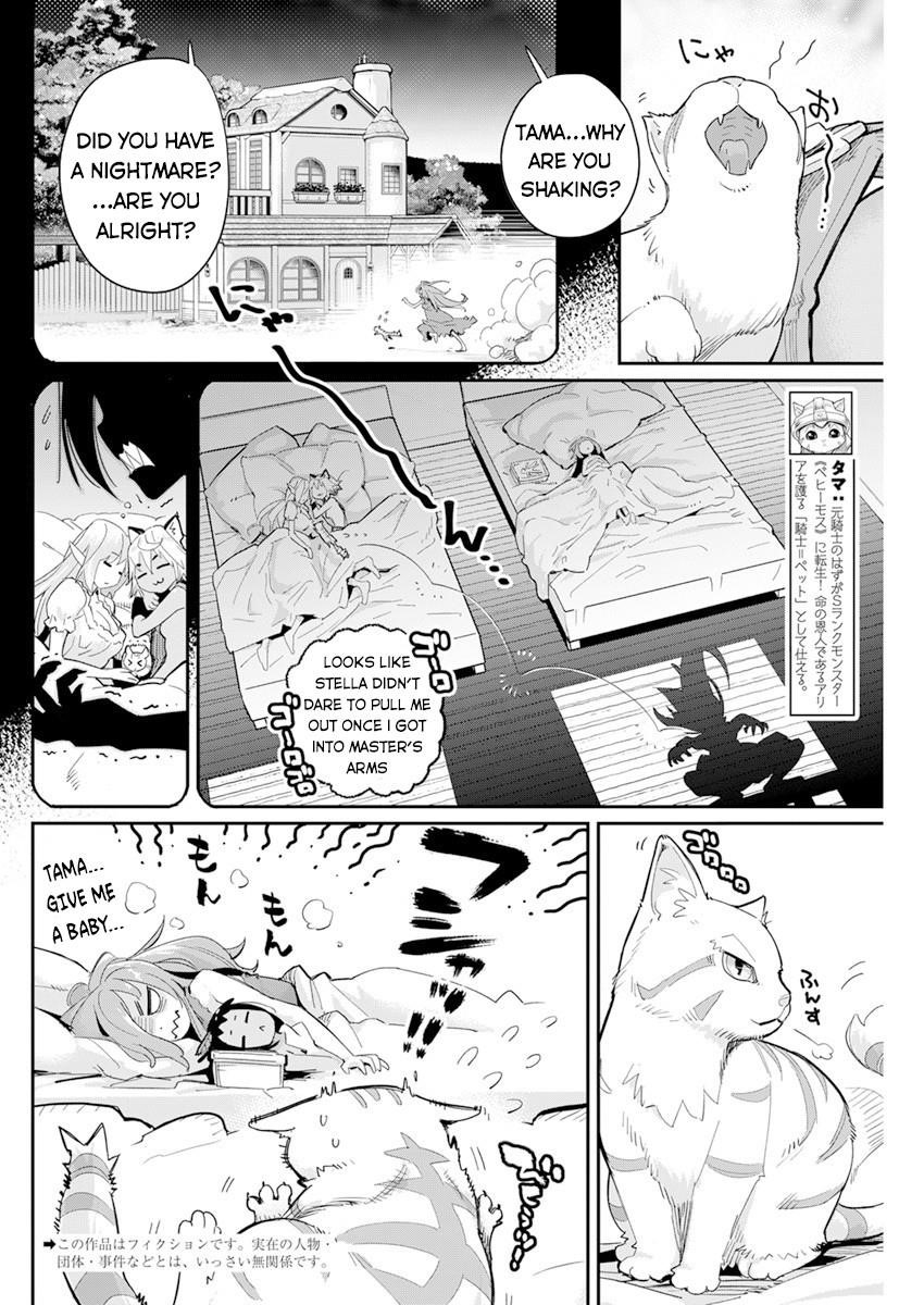 I Am Behemoth Of The S Rank Monster But I Am Mistaken As A Cat And I Live As A Pet Of Elf Girl Chapter 40 - Page 2