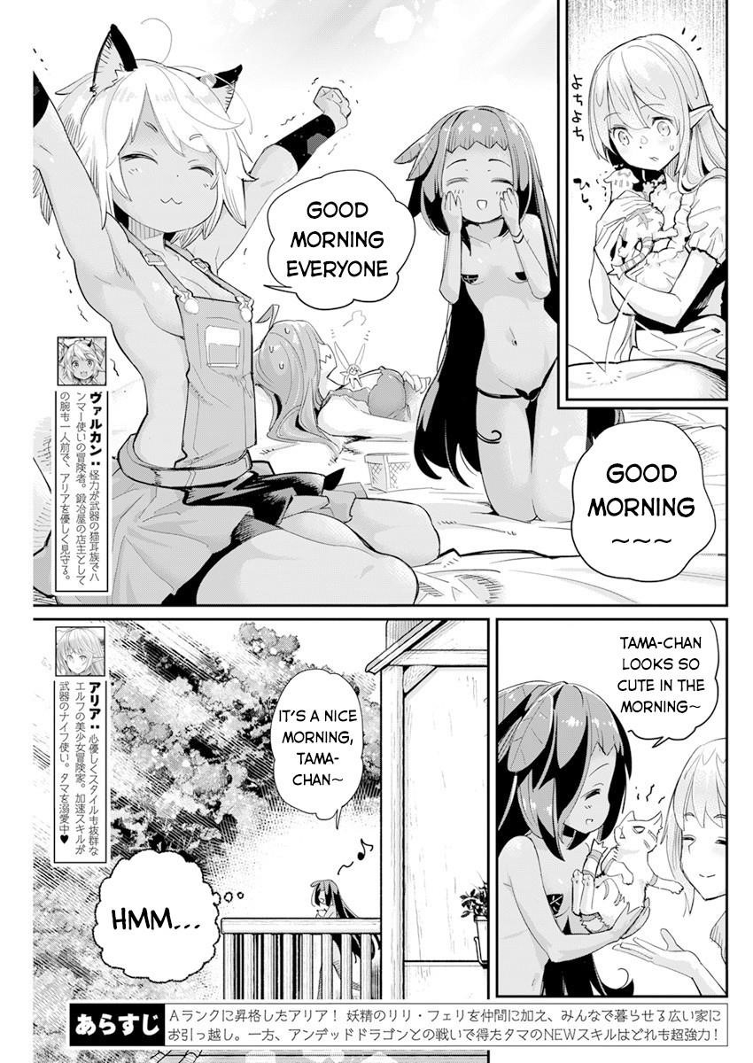 I Am Behemoth Of The S Rank Monster But I Am Mistaken As A Cat And I Live As A Pet Of Elf Girl Chapter 40 - Page 3