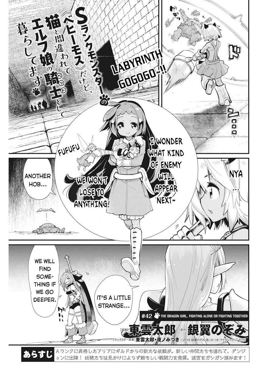 I Am Behemoth Of The S Rank Monster But I Am Mistaken As A Cat And I Live As A Pet Of Elf Girl Chapter 42 - Page 1