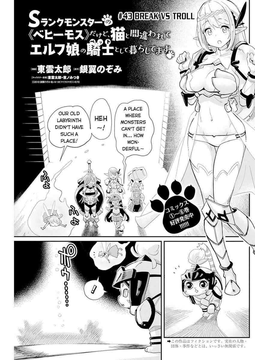 I Am Behemoth Of The S Rank Monster But I Am Mistaken As A Cat And I Live As A Pet Of Elf Girl Chapter 43 - Page 1