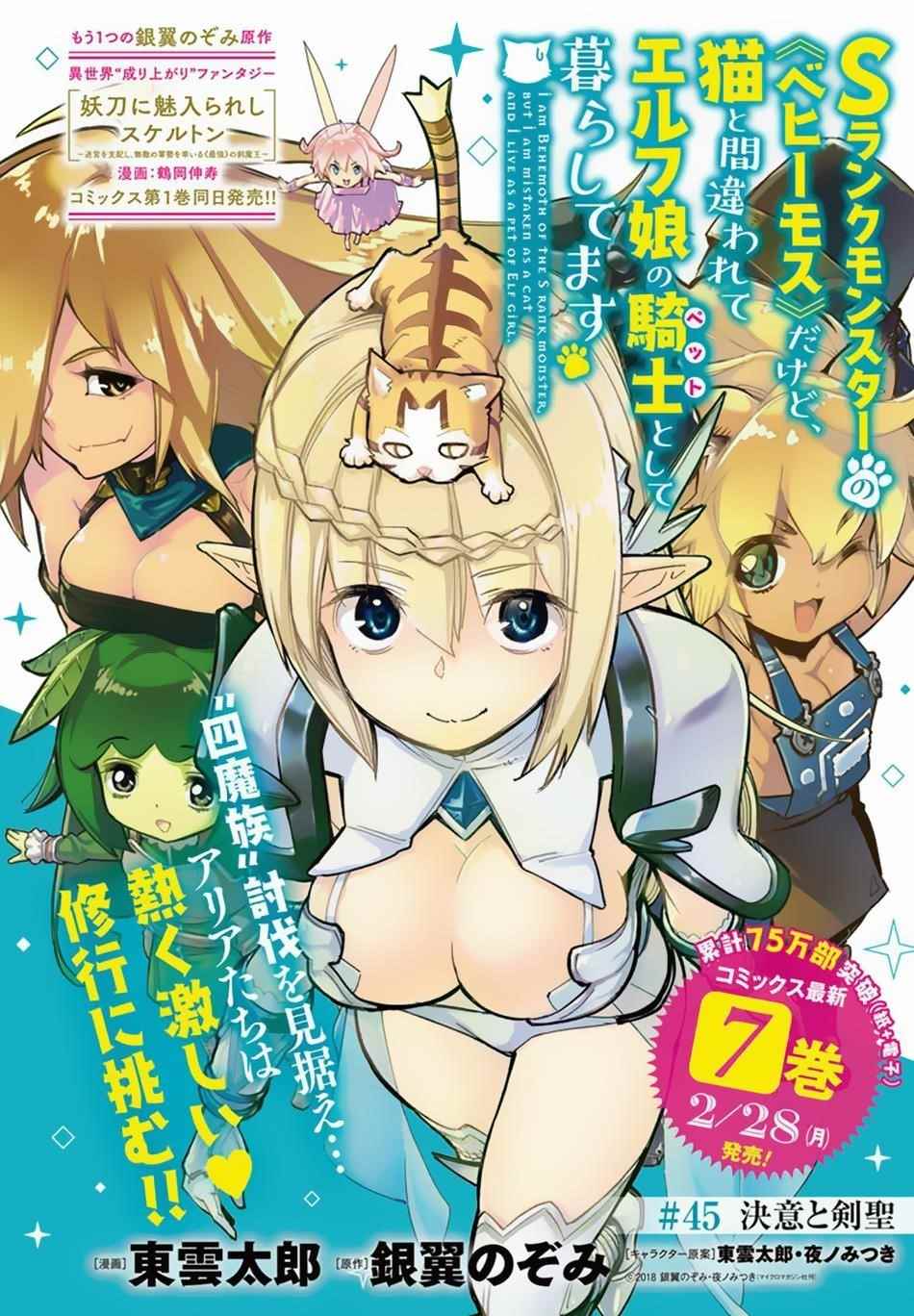 I Am Behemoth Of The S Rank Monster But I Am Mistaken As A Cat And I Live As A Pet Of Elf Girl Chapter 45 - Page 1