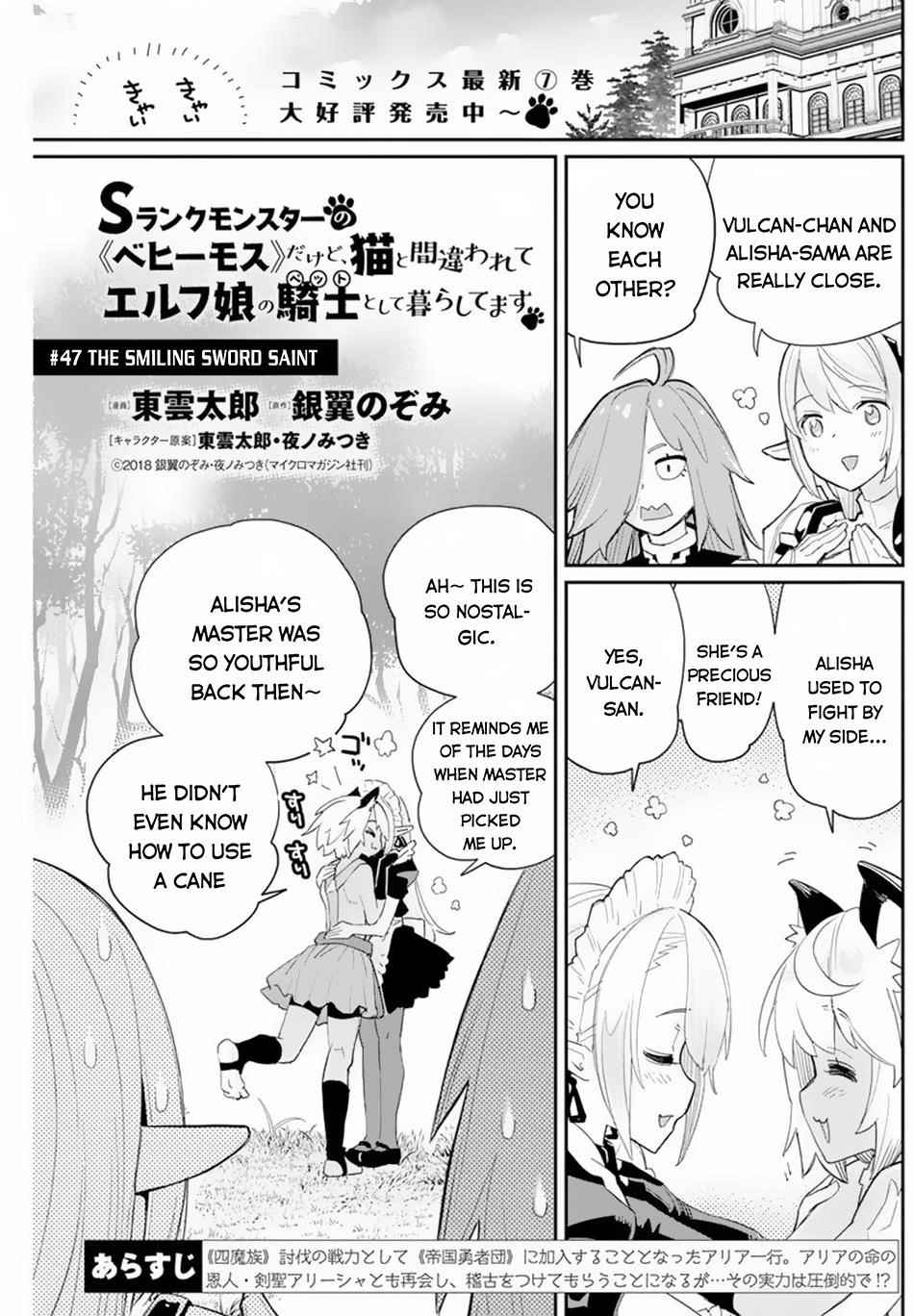 I Am Behemoth Of The S Rank Monster But I Am Mistaken As A Cat And I Live As A Pet Of Elf Girl Chapter 47 - Page 1