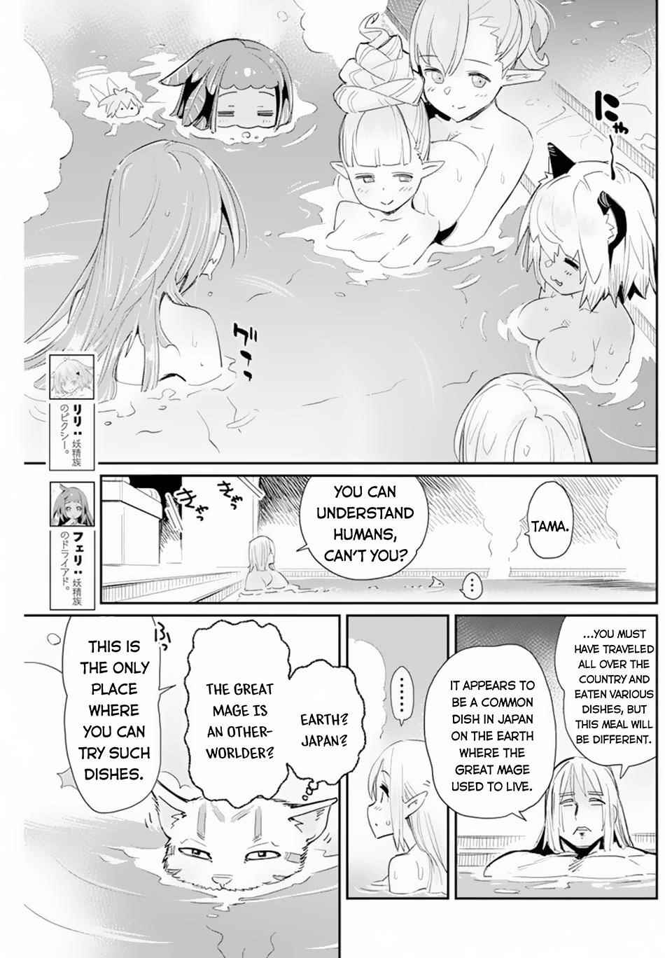I Am Behemoth Of The S Rank Monster But I Am Mistaken As A Cat And I Live As A Pet Of Elf Girl Chapter 47 - Page 10