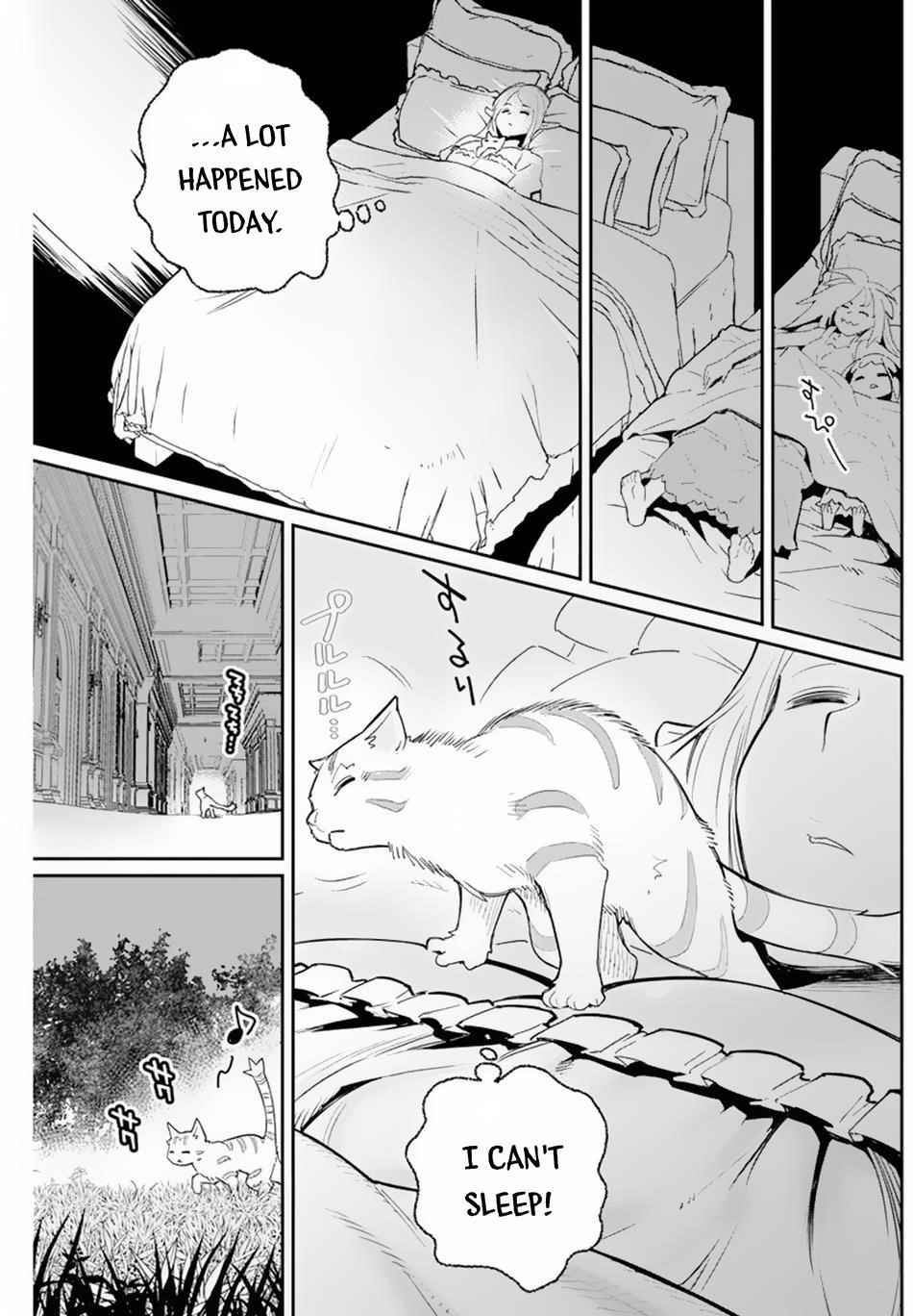 I Am Behemoth Of The S Rank Monster But I Am Mistaken As A Cat And I Live As A Pet Of Elf Girl Chapter 47 - Page 14