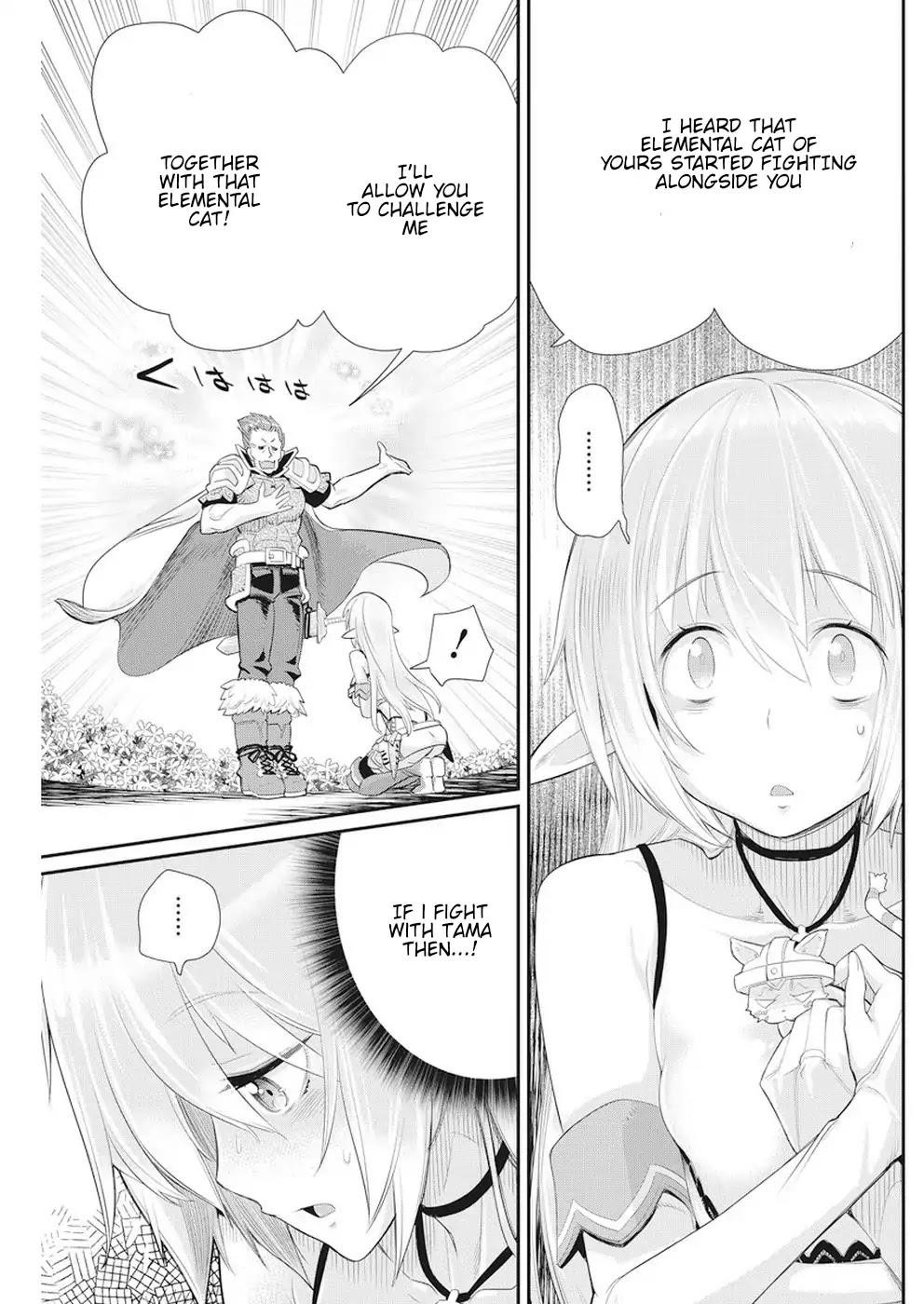 I Am Behemoth Of The S Rank Monster But I Am Mistaken As A Cat And I Live As A Pet Of Elf Girl Chapter 5 - Page 17