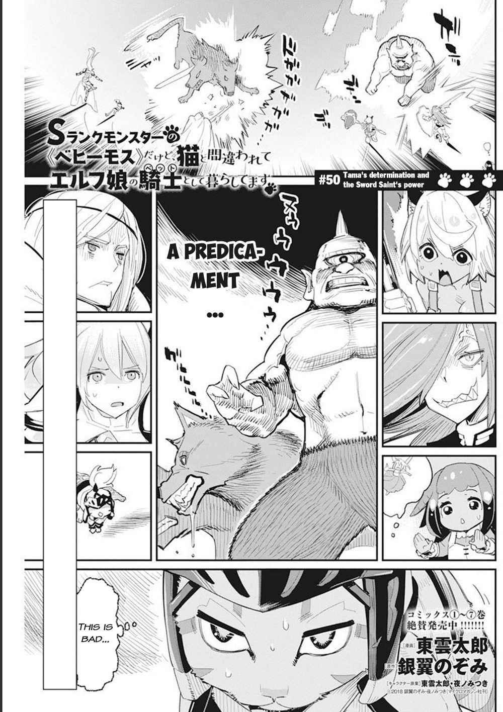 I Am Behemoth Of The S Rank Monster But I Am Mistaken As A Cat And I Live As A Pet Of Elf Girl Chapter 50 - Page 1