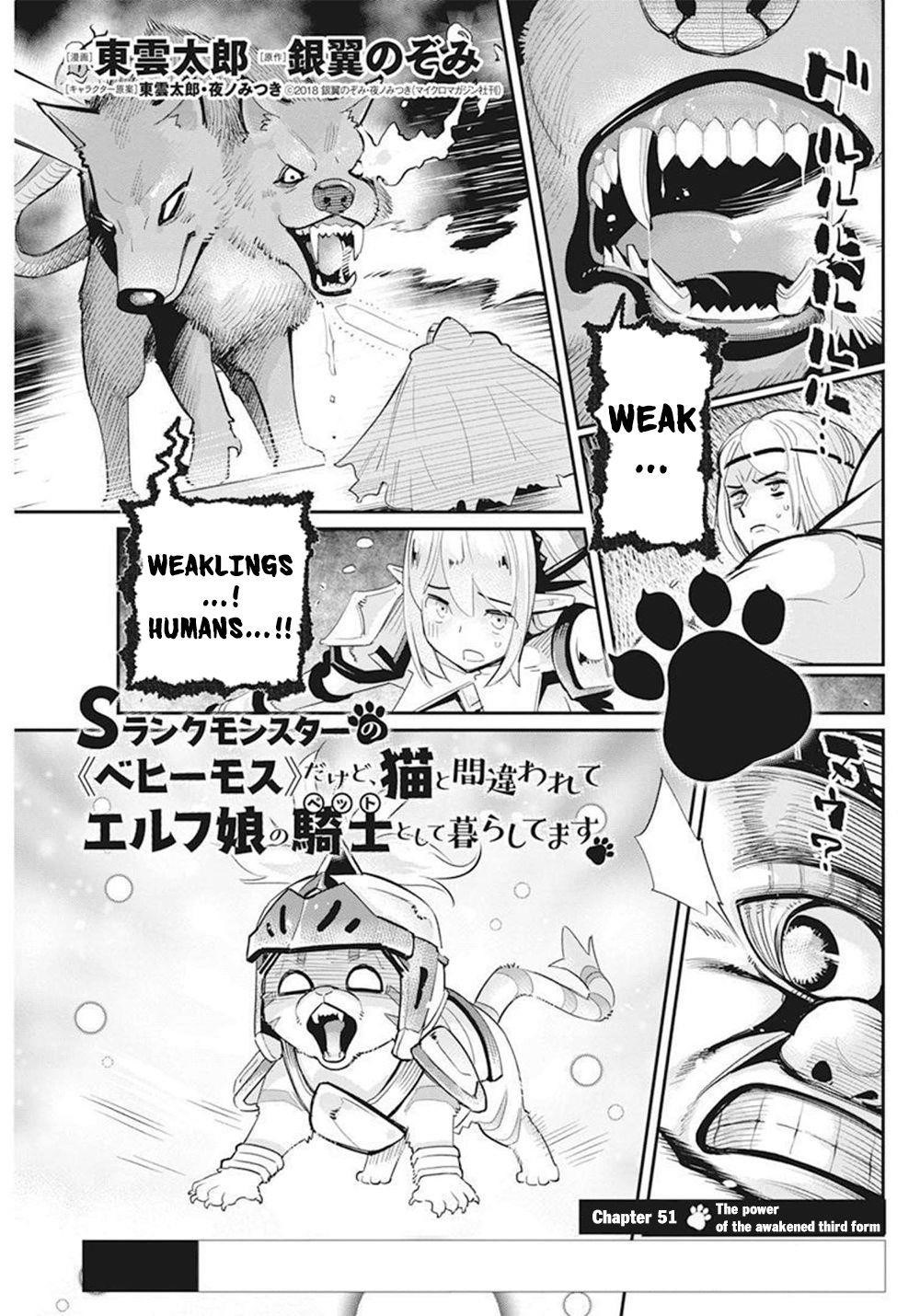 I Am Behemoth Of The S Rank Monster But I Am Mistaken As A Cat And I Live As A Pet Of Elf Girl Chapter 51 - Page 1