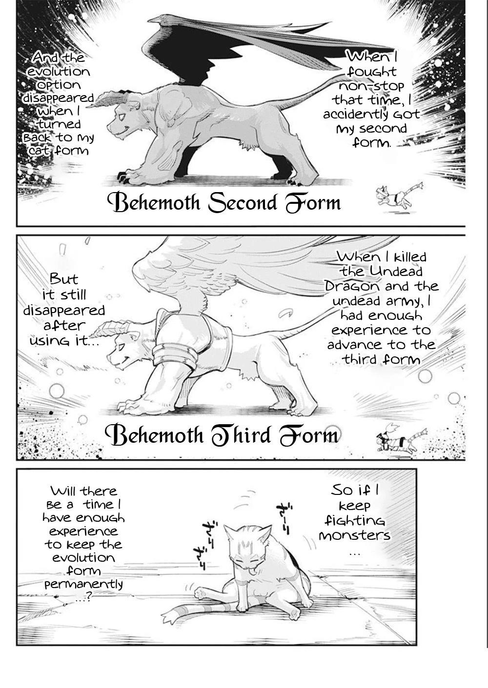I Am Behemoth Of The S Rank Monster But I Am Mistaken As A Cat And I Live As A Pet Of Elf Girl Chapter 52 - Page 10