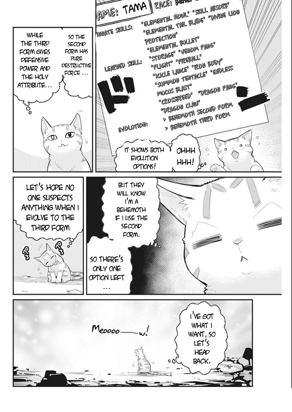 I Am Behemoth Of The S Rank Monster But I Am Mistaken As A Cat And I Live As A Pet Of Elf Girl Chapter 52 - Page 20