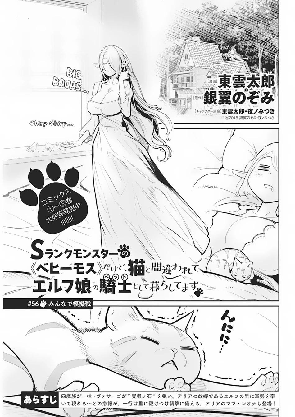I Am Behemoth Of The S Rank Monster But I Am Mistaken As A Cat And I Live As A Pet Of Elf Girl Chapter 56 - Page 1