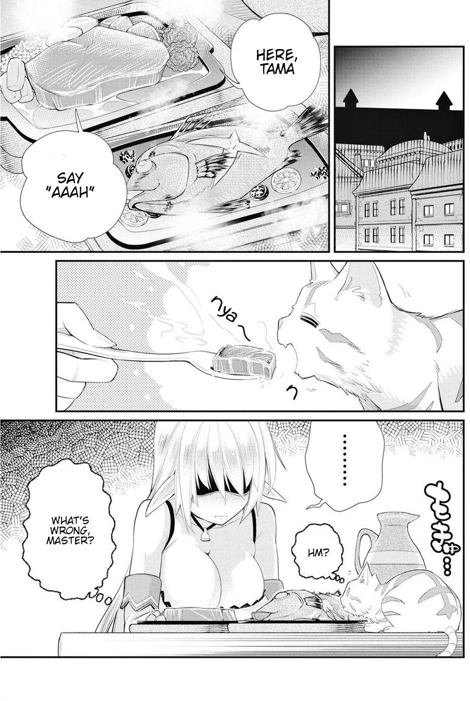 I Am Behemoth Of The S Rank Monster But I Am Mistaken As A Cat And I Live As A Pet Of Elf Girl Chapter 6 - Page 16
