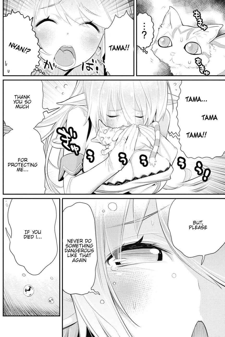 I Am Behemoth Of The S Rank Monster But I Am Mistaken As A Cat And I Live As A Pet Of Elf Girl Chapter 6 - Page 17