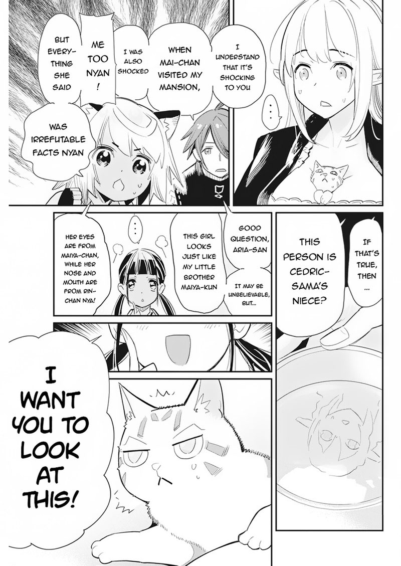 I Am Behemoth Of The S Rank Monster But I Am Mistaken As A Cat And I Live As A Pet Of Elf Girl Chapter 61 - Page 5
